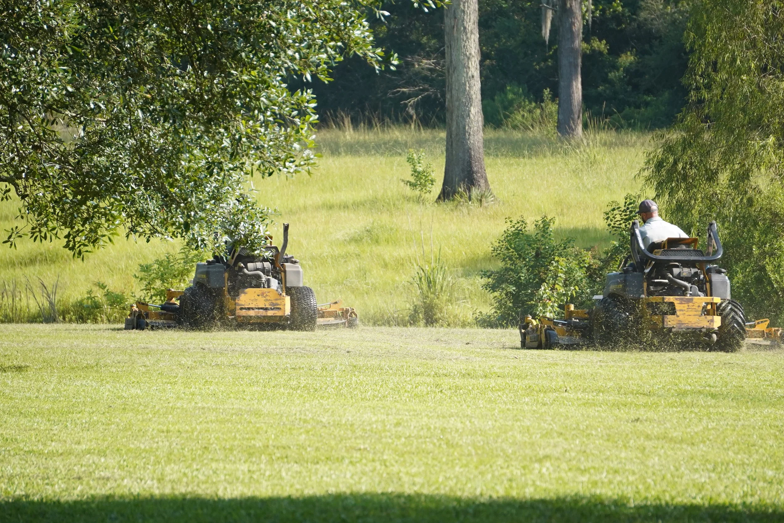 Proactive Landscaping Prevents Costly Repairs