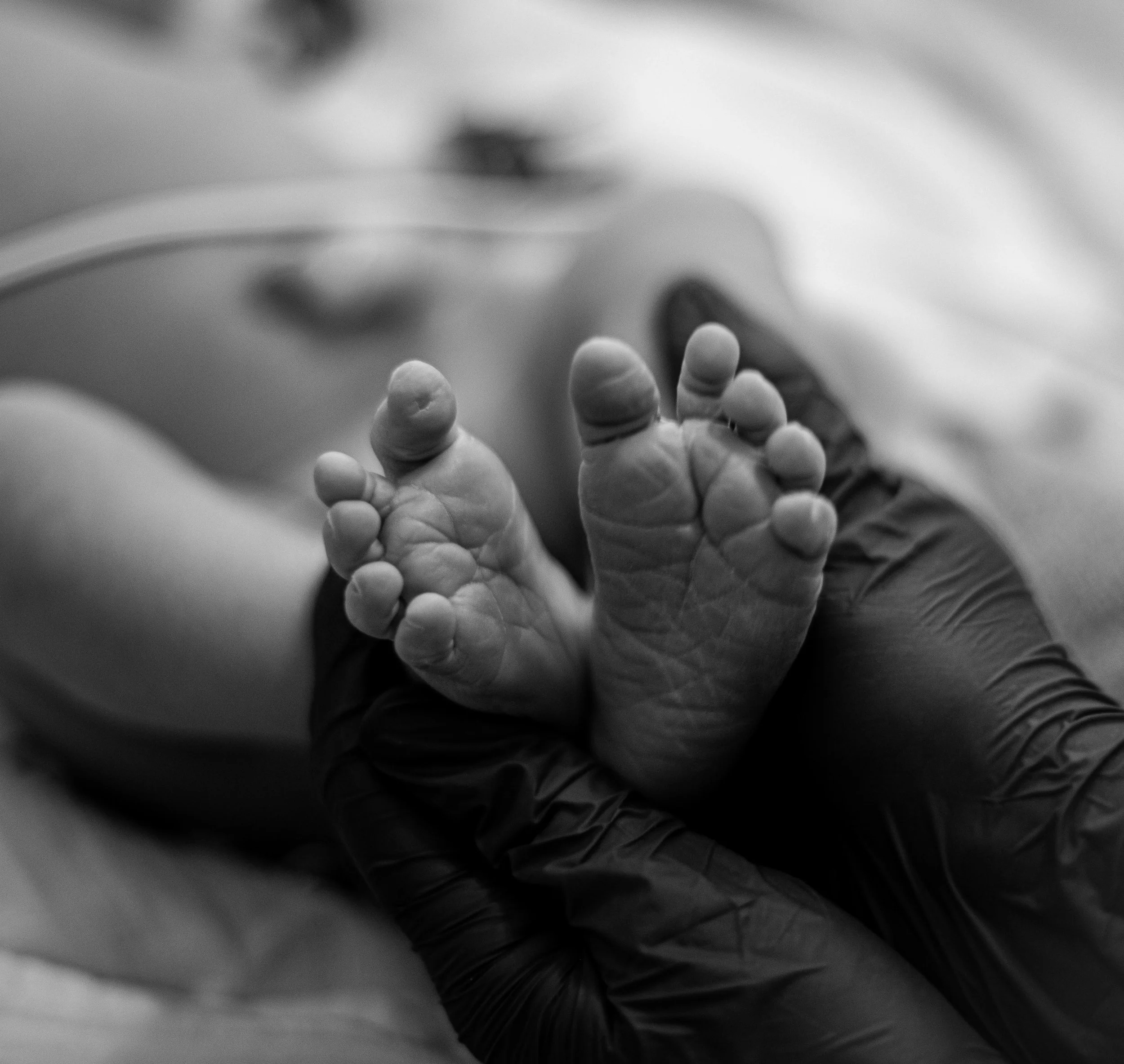 Black and white photo of a newborn baby's feet being gently held by a person wearing gloves, with the baby lying on a bed.