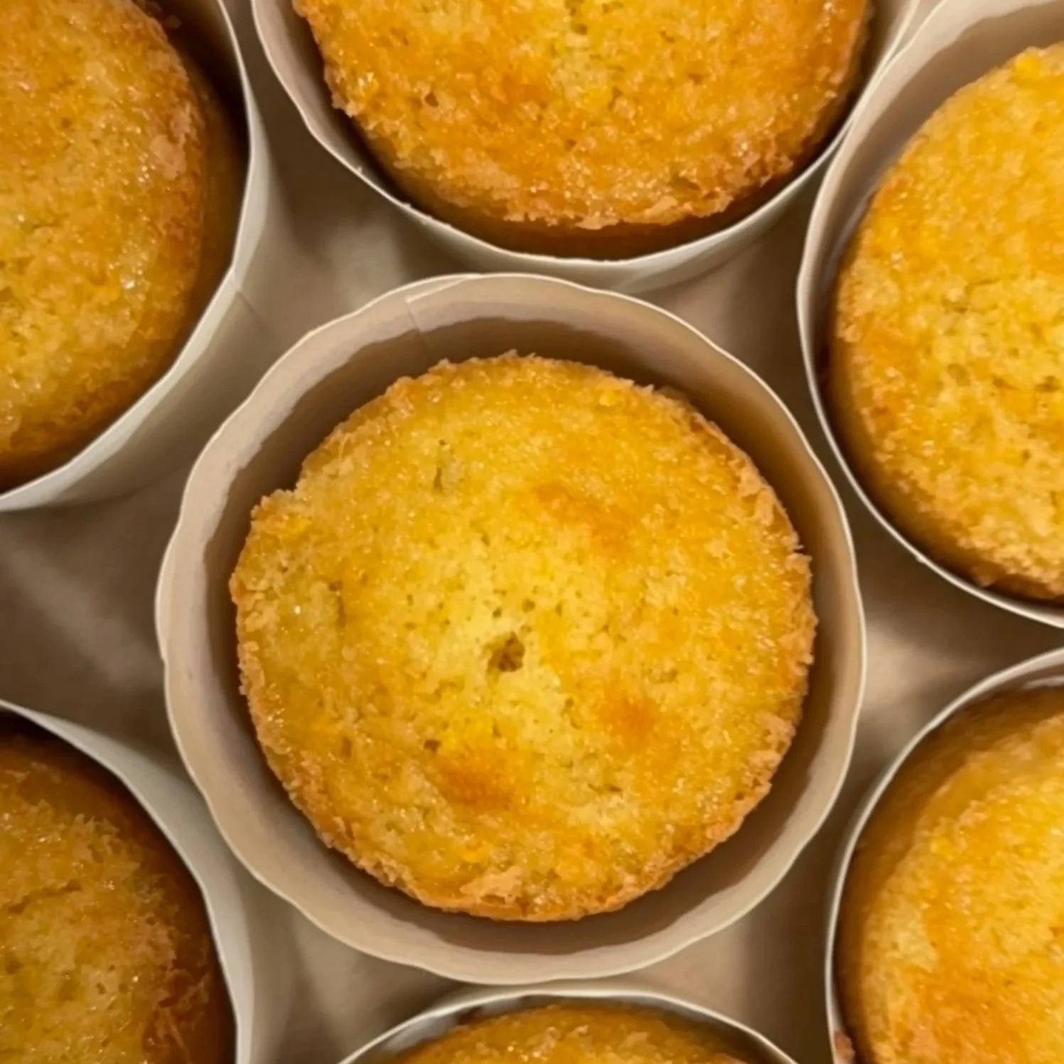 Olive Oil Individuals PS copy.jpg