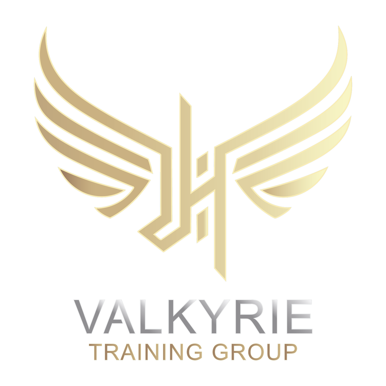 Valkyrie Training Group