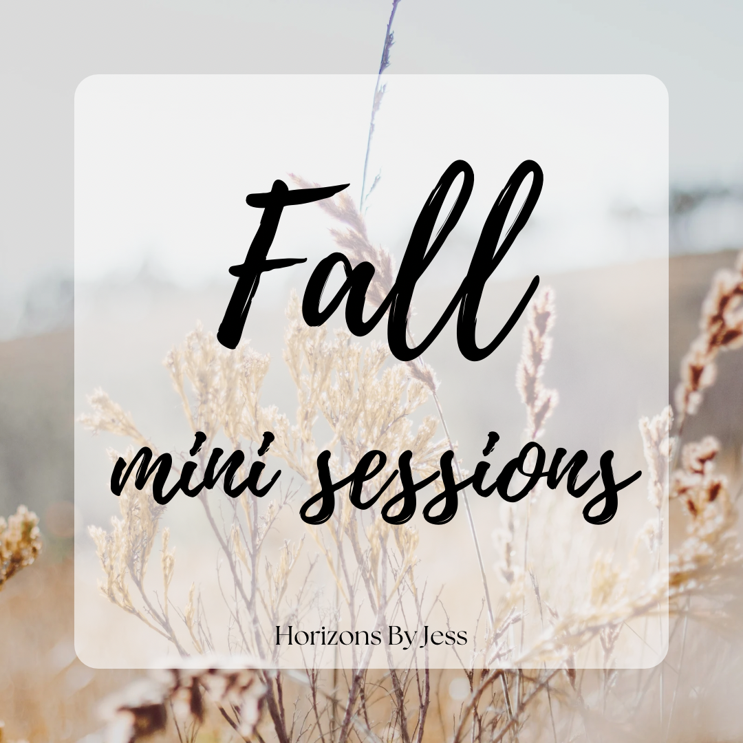 Fall Mini Session