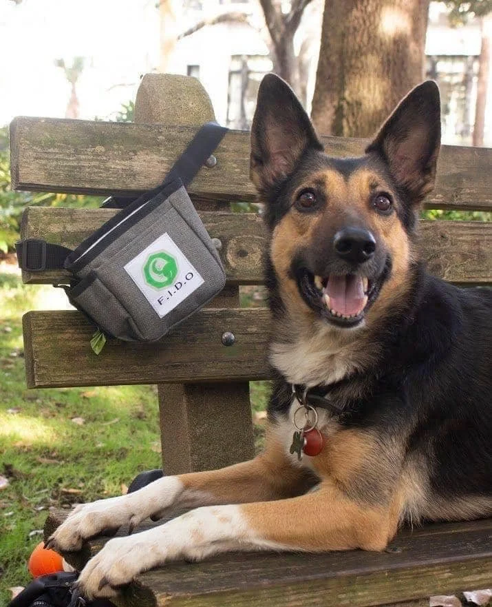 F.I.D.O. Bagz – Hands-Free Dog Waste Carrier & Walking Bag