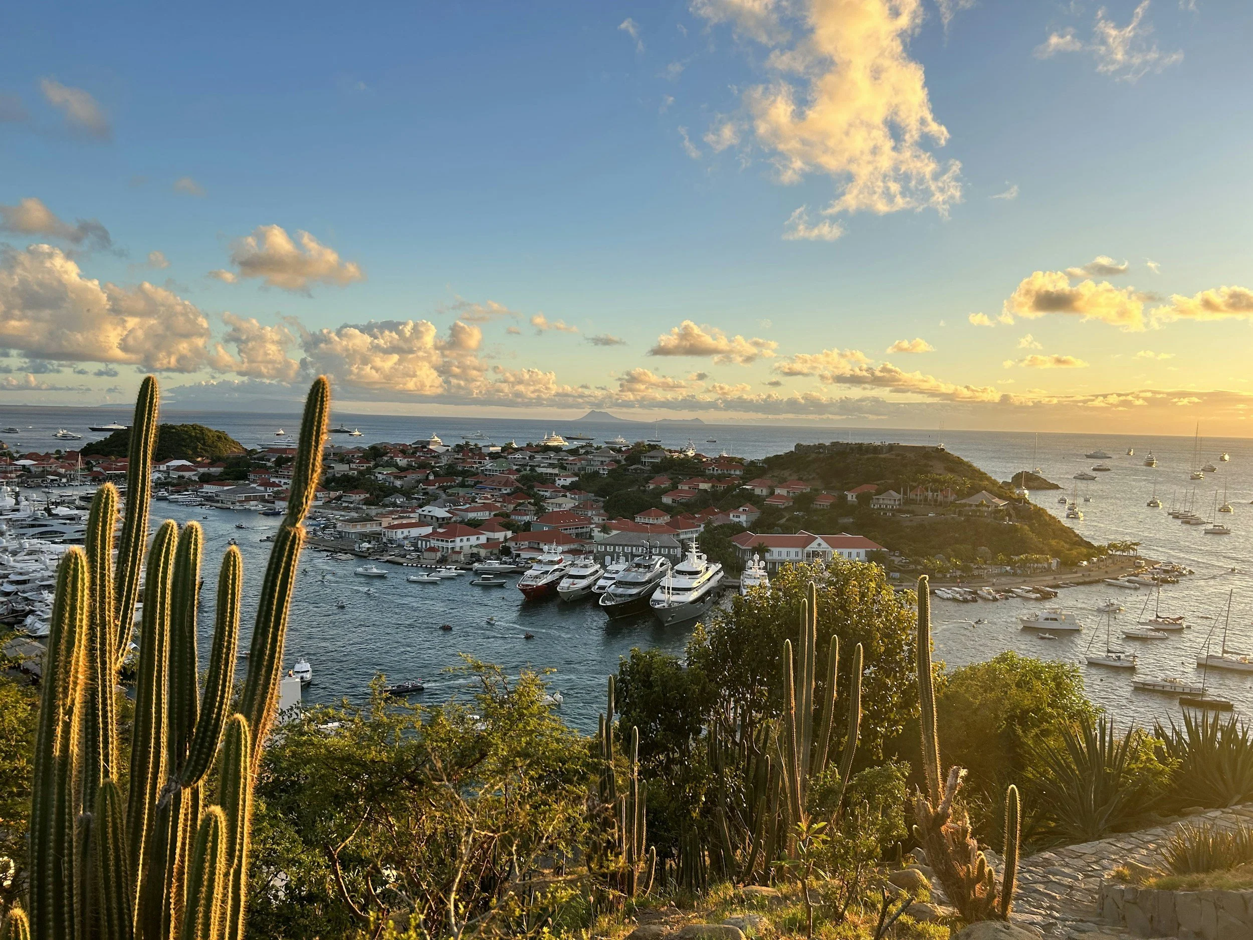 Sunset over a marina with yachts and boats, surrounded by red-roofed buildings, cacti, and lush greenery.