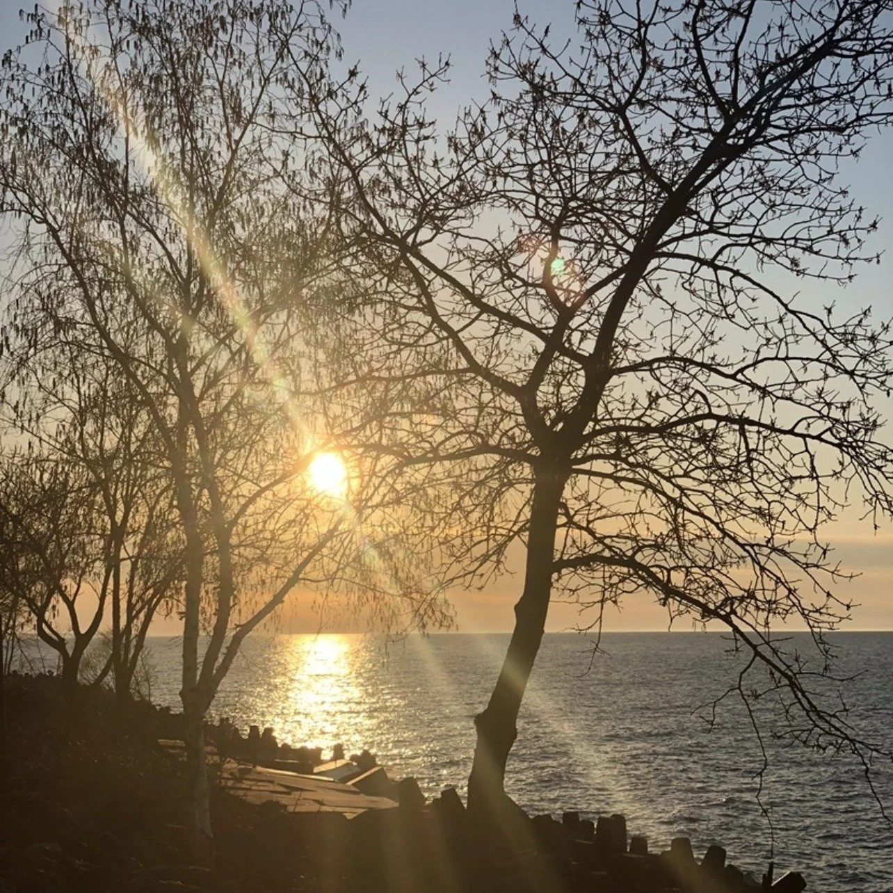 What the Water Taught Me