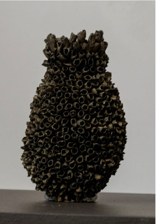 Mud Nest I, 2026, Emma Davies