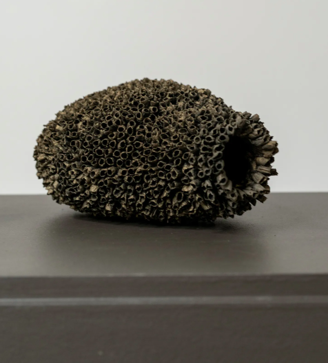 Mud Nest II, 2026, Emma Davies