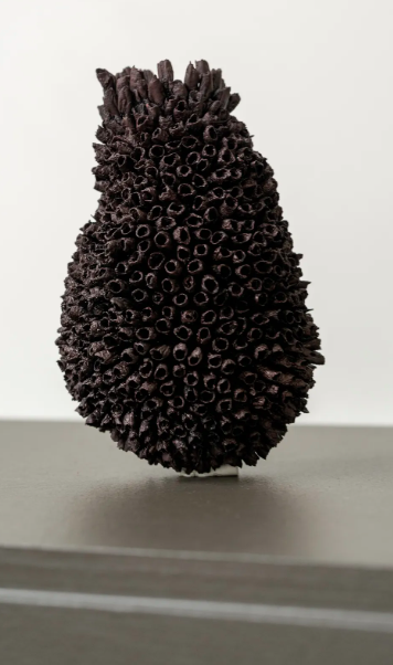 Mud Nest III, 2026, Emma Davies