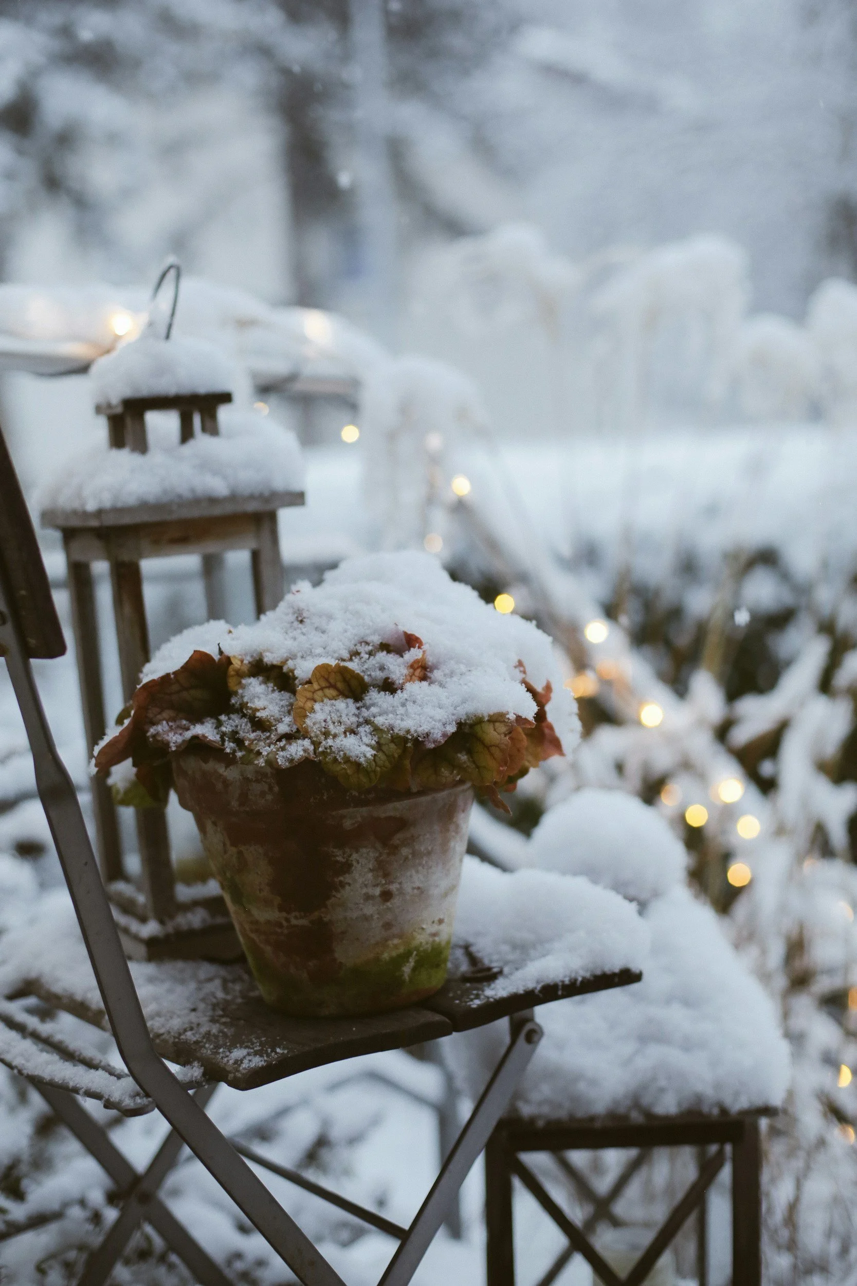 Snow-covered garden scene with a flowerpot, small wicker chairs, and a string of lights in the background.