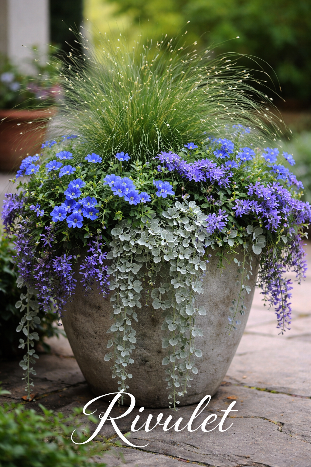 THE STORY BEHIND RIVULET