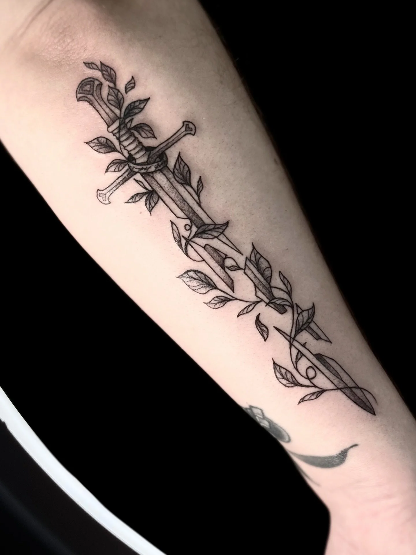 π‘οΈπΏ
π§ππ«π§. ππ . πππ‘π ππ‘ πππ’.
.
.
.
#tattoo #neotrad #traditional #traditionaltattoo #tattoomemes #neotraditional #art #tattooideas #flash #nhtattoo #availabletattoo #flashtattoo #stippling #lotrtattoo #swordtattoo