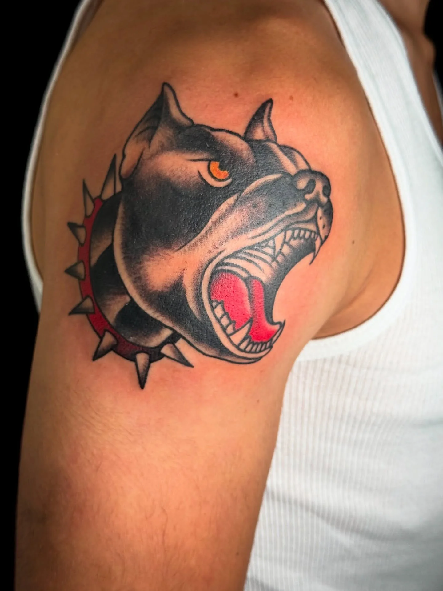 Super traddy bork. π£οΈ
π§ππ«π§. ππ . πππ‘π ππ‘ πππ’.
.
.
.
#tattoo #neotrad #traditional #traditionaltattoo #tattoomemes #neotraditional #art #tattooideas #flash #nhtattoo #dogtattoo #pitbulltattoo