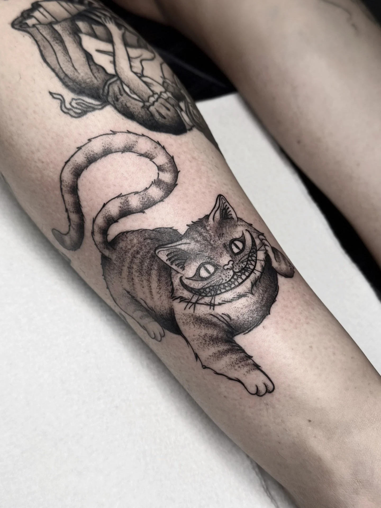 “Can you stand on your head?” ♥οΈ♦οΈ♠οΈ
π§ππ«π§. ππ . πππ‘π ππ‘ πππ’.
.
.
.
#tattoo #neotrad #traditional #traditionaltattoo #tattoomemes #neotraditional #art #tattooideas #flash #nhtattoo #cheshirecat #aliceinwo