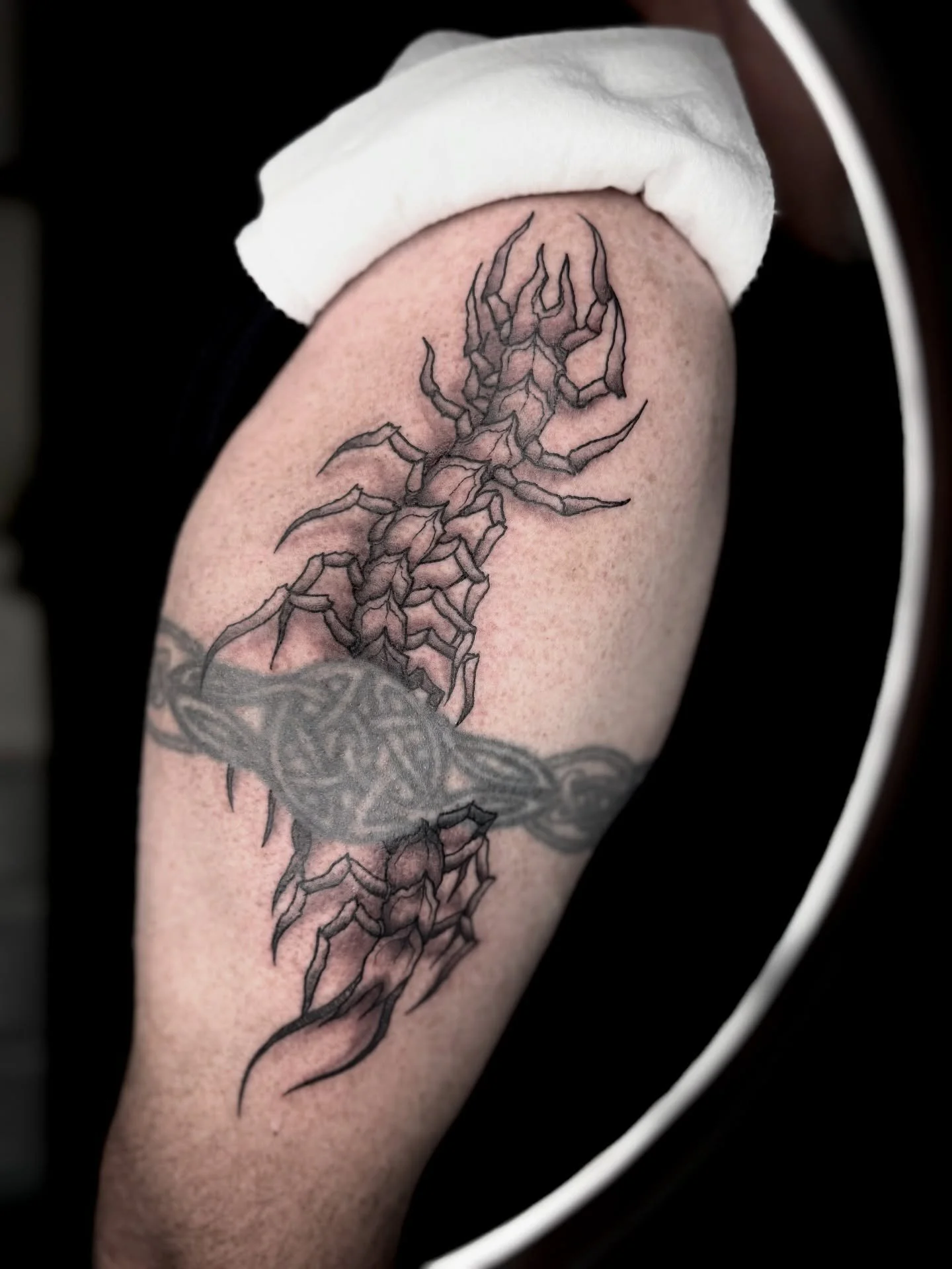 π£οΈMORE CENTIPEDES. Love doing these!
π§ππ«π§. ππ . πππ‘π ππ‘ πππ’.
.
.
.
#tattoo #neotrad #traditional #traditionaltattoo #tattoomemes #neotraditional #art #tattooideas #flash #nhtattoo #blackwork #centipedetattoo #insecttattoo