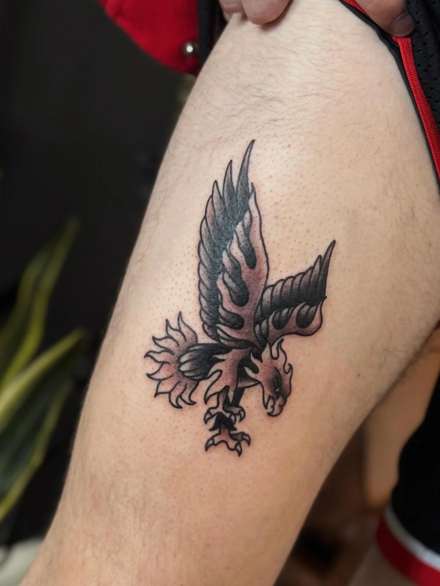 🐦&zwj;🔥 MORE BIRBS. COME GET.
𝗧𝗘𝗫𝗧. 𝗗𝗠. 𝗟𝗜𝗡𝗞 𝗜𝗡 𝗕𝗜𝗢. 
.
.
.
#tattoo #traditionaltattoo #neotraditional #art #flash #nhtattoo #blackwork #birdtattoo