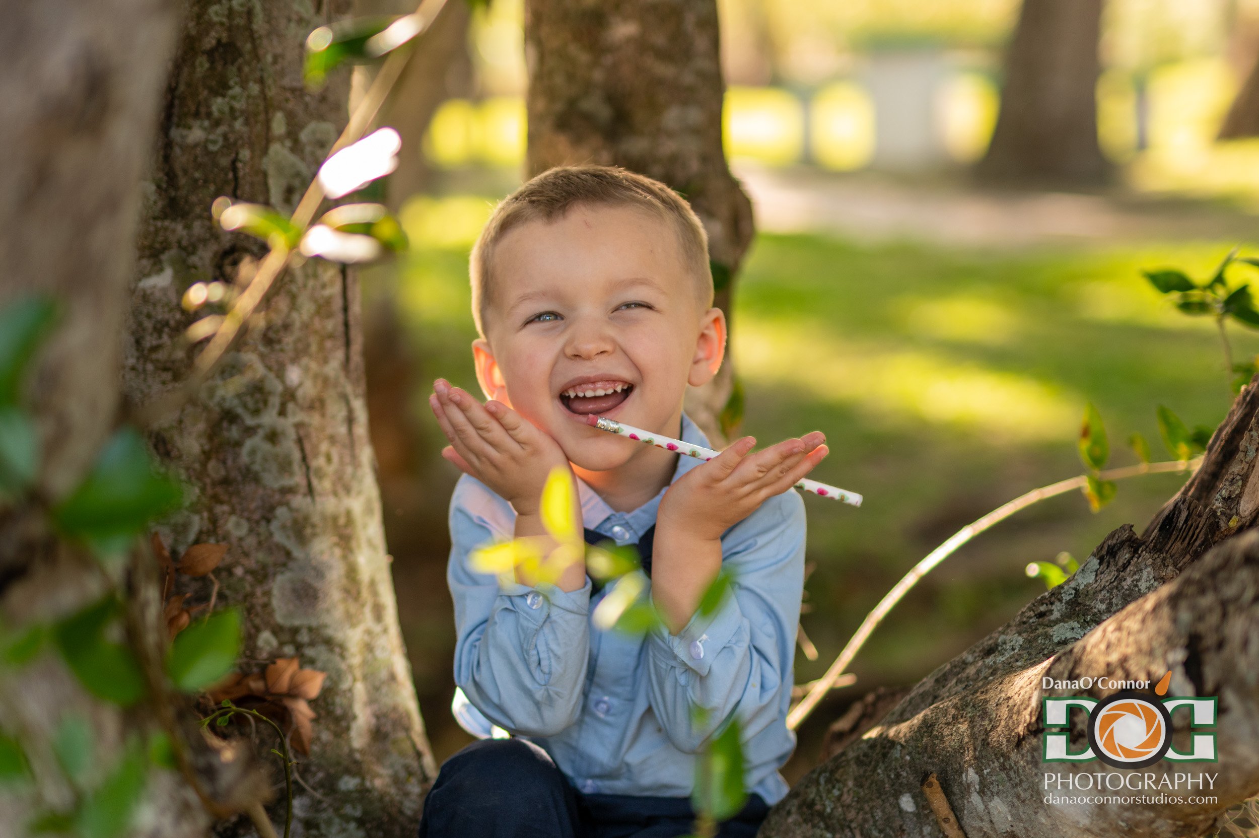 A young boy with short hair, wearing a light blue shirt, smiling and holding a colorful striped pencil in a tree, surrounded by green leaves and sunlight.