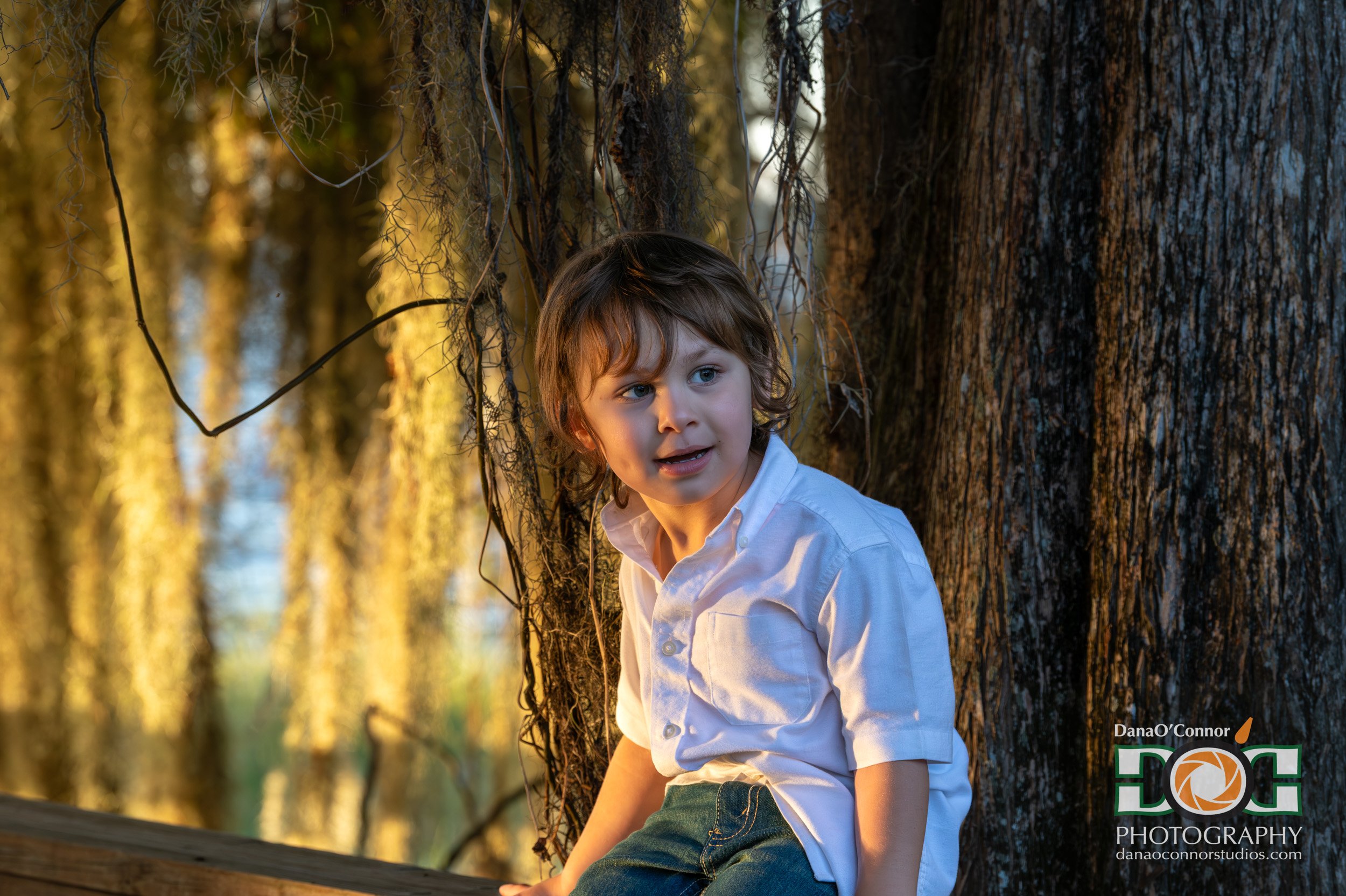 A young boy with brown hair and blue eyes wearing a white shirt sitting outdoors by a tree with Spanish moss hanging down, during golden hour.