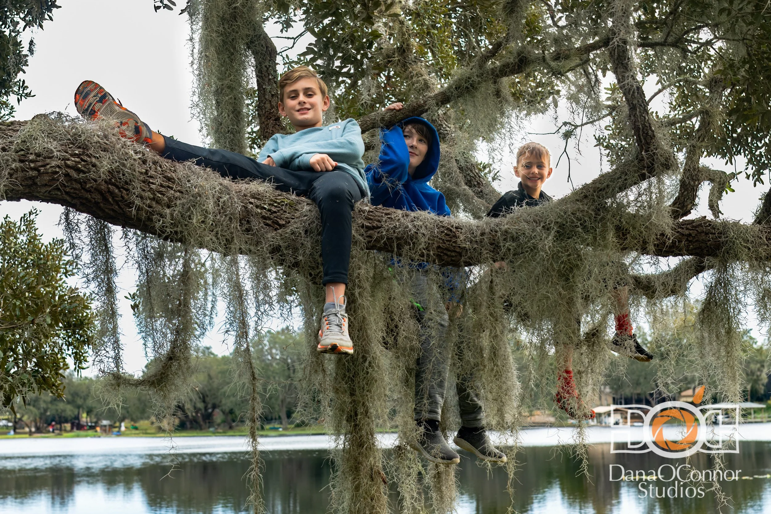 Three children sitting on a high tree branch over water, with Spanish moss hanging around, outdoors during daytime.