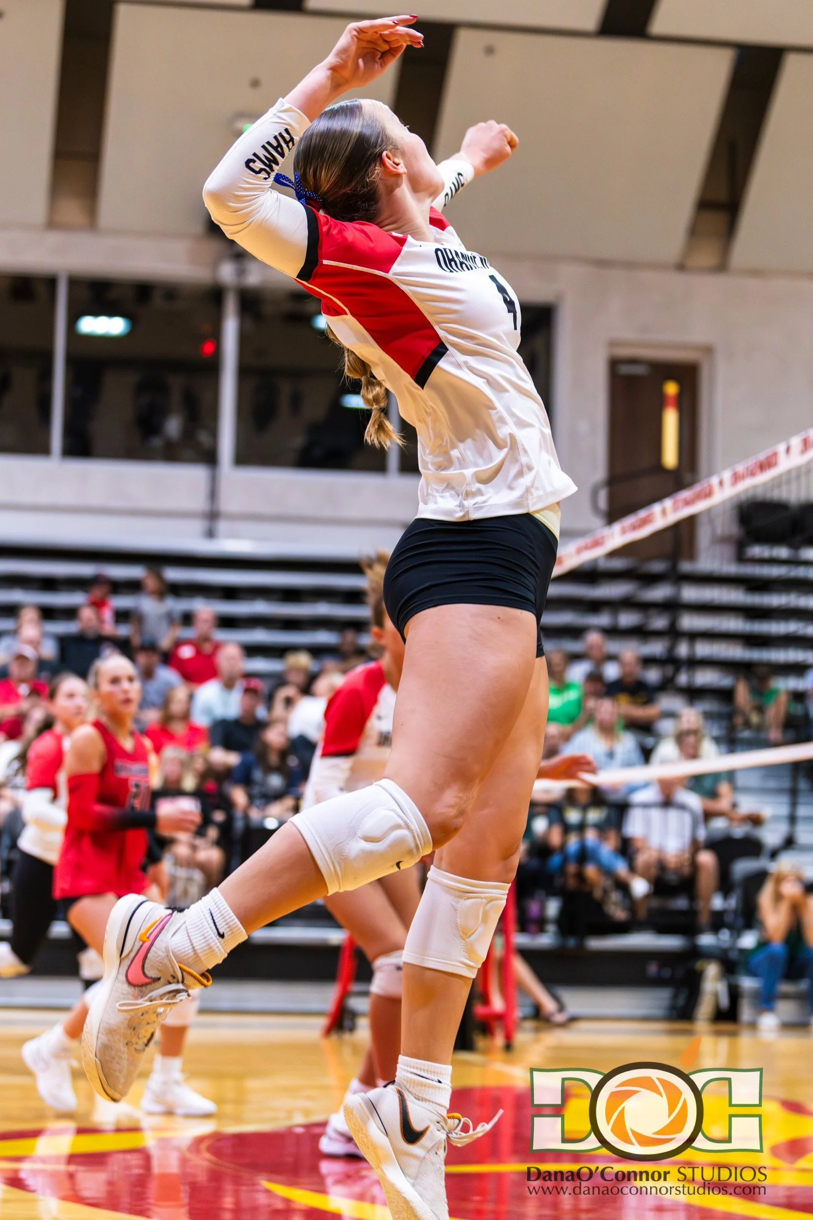 2025-208-21_Volleyball_Orangewood-vs-Deland-79.jpg
