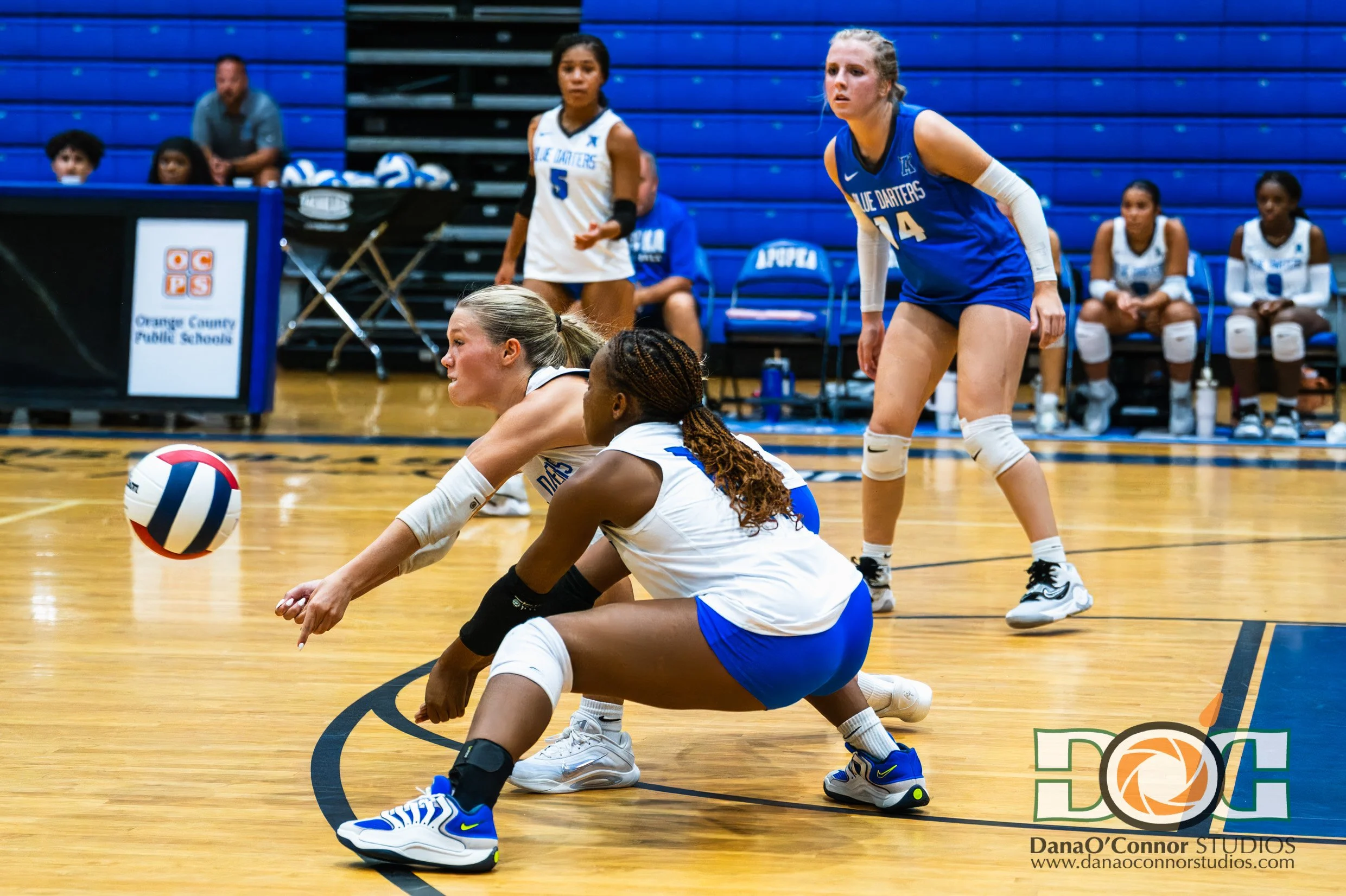 2025-08-26_VolleyBall_Apopka-vs-Timber Creek-498-2.jpg