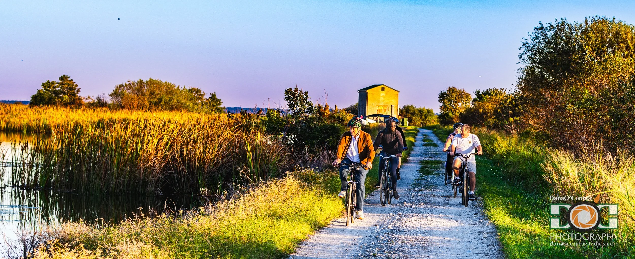 Group of four people riding bicycles along a gravel trail surrounded by tall grasses and trees, with a barn in the background on a sunny day.