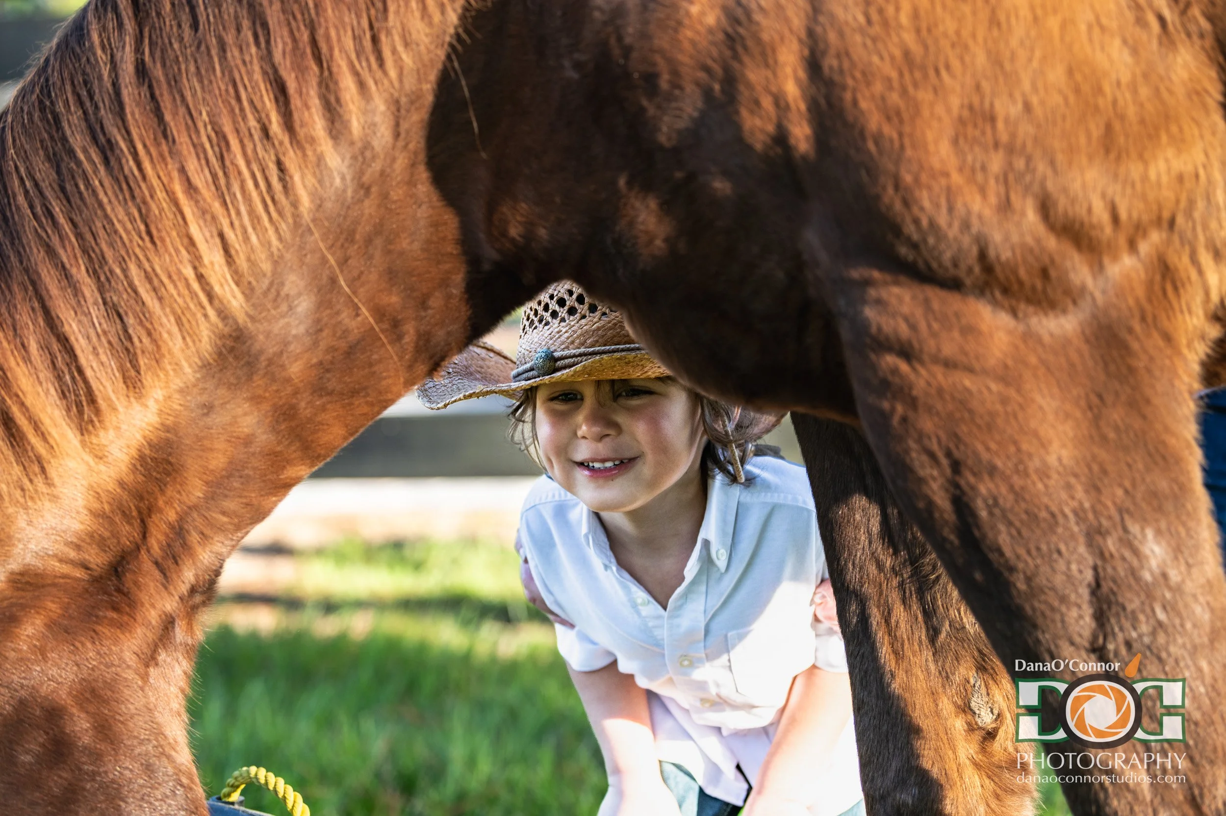 A young boy with a hat and white shirt is smiling and kneeling between two large horses, with the horses' heads close together. The boy is looking at the horses' faces.