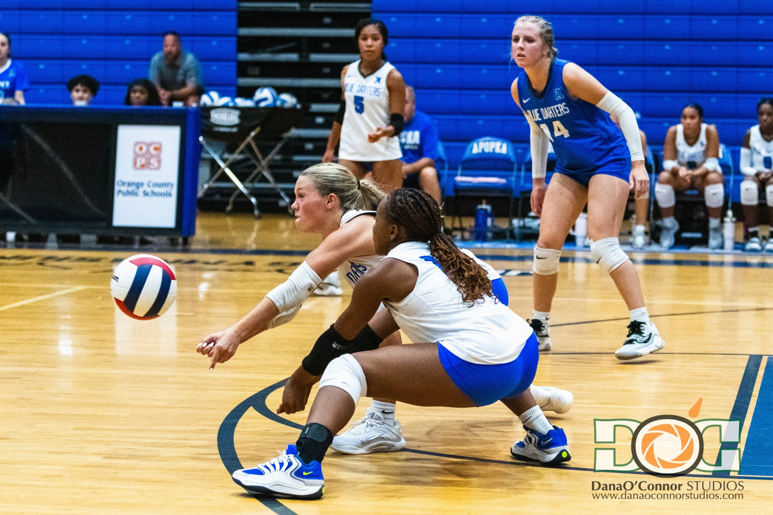 2025-08-26_VolleyBall_Apopka-vs-Timber Creek-498.jpg