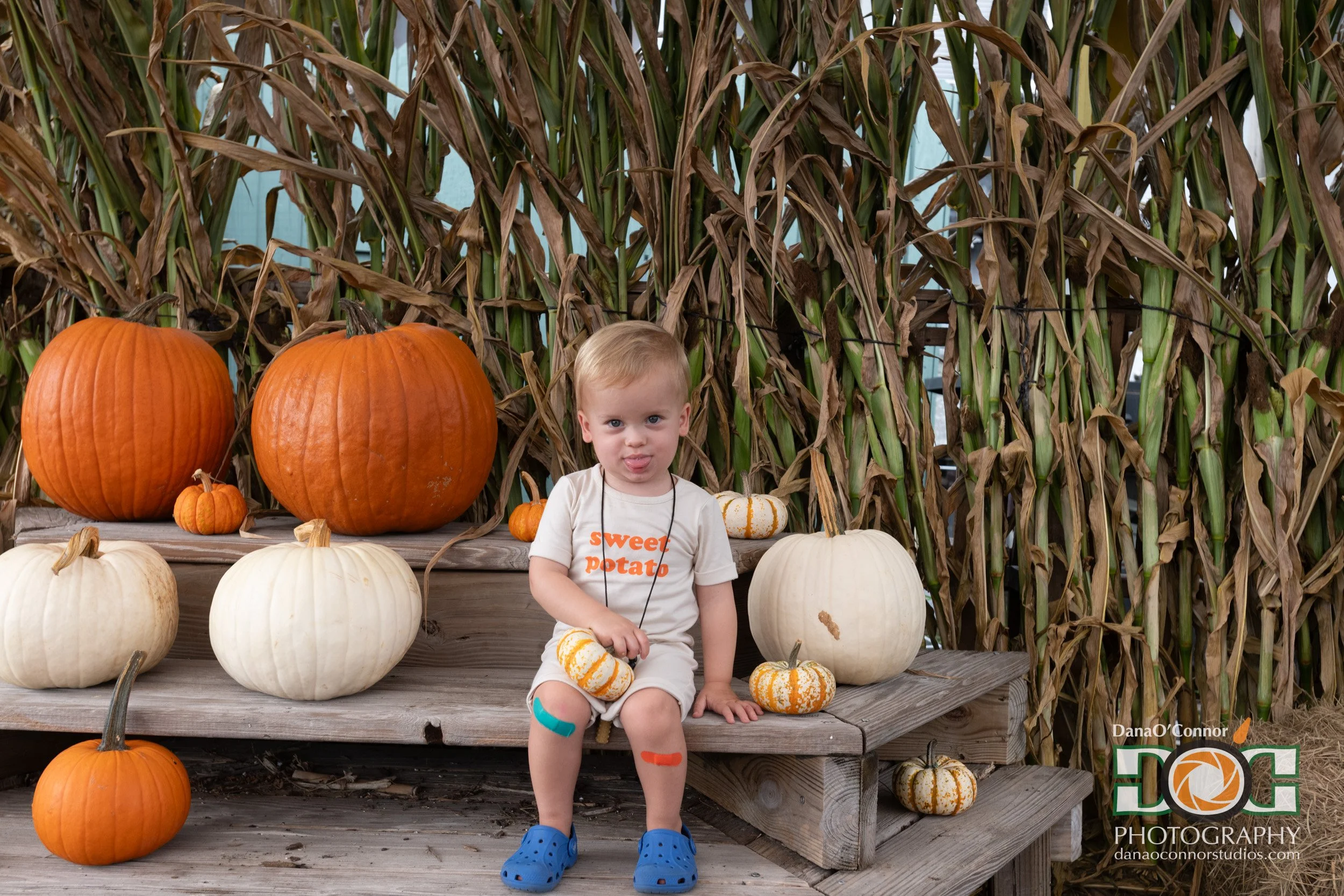 2025-09-27_GreatScottFarms-FallFestivalOpening-0042.jpg