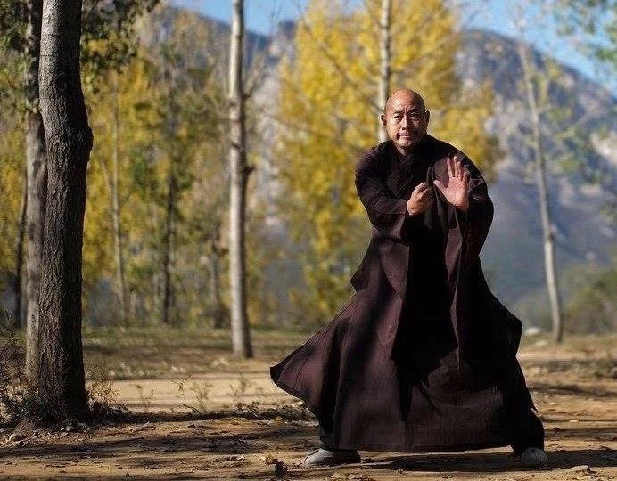 Shifu Wu Nanfang