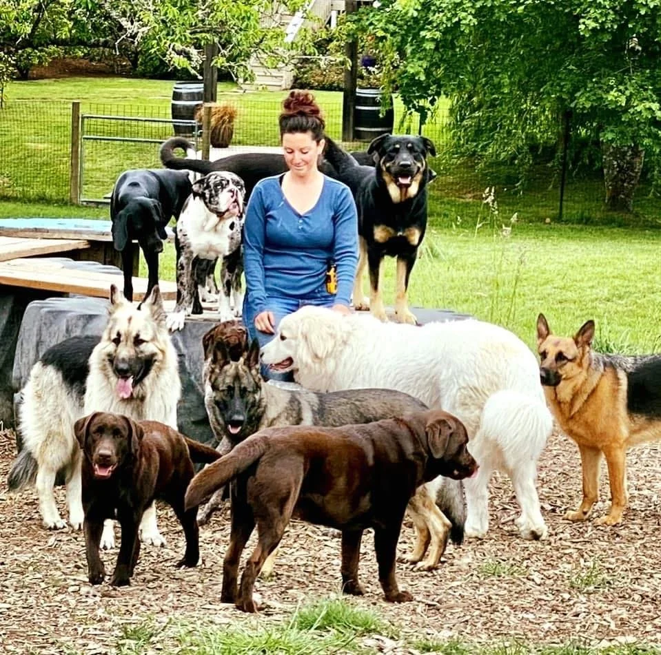 canine country club