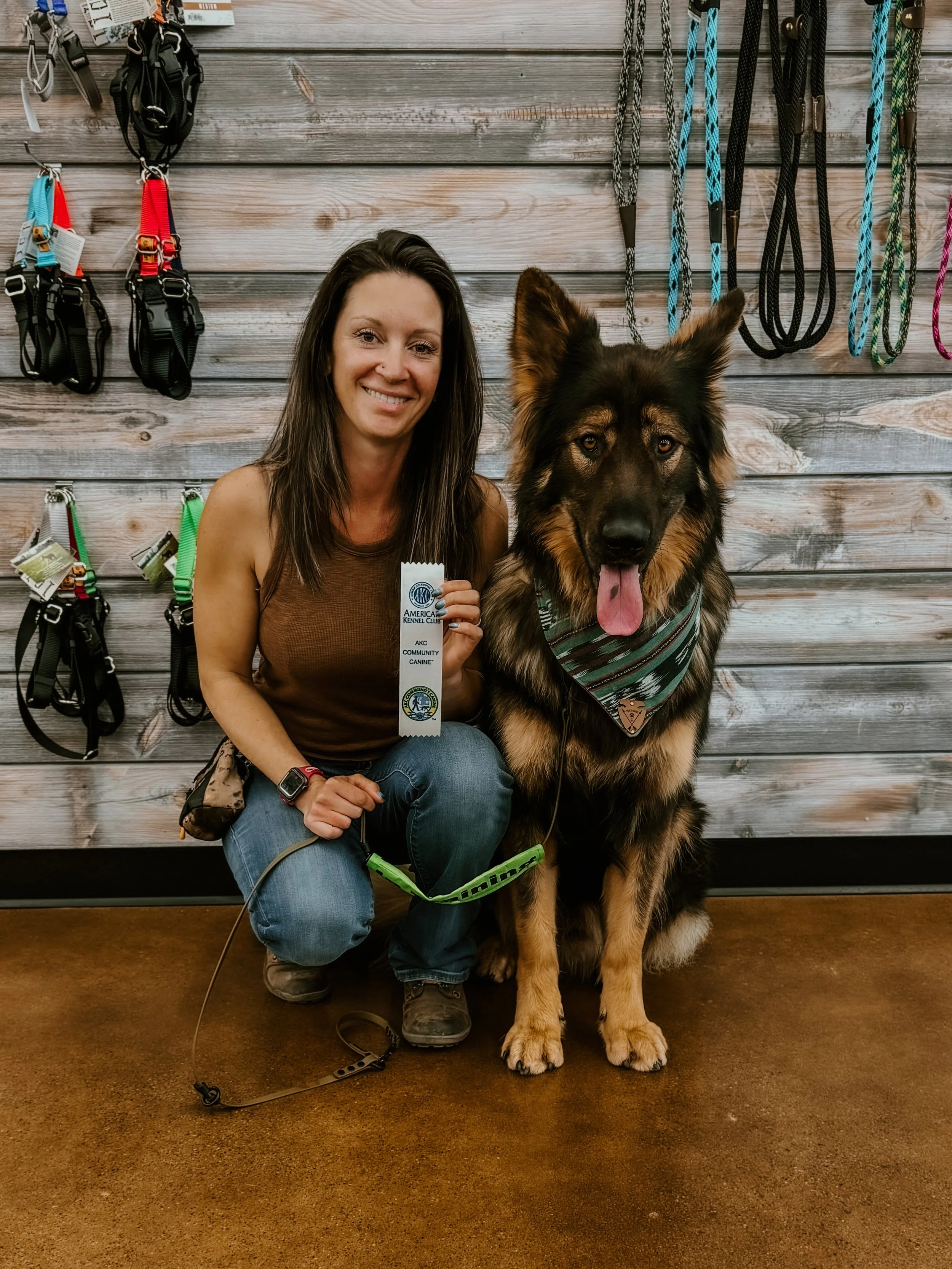Cylas earning his Advanced Canine Good Citizen