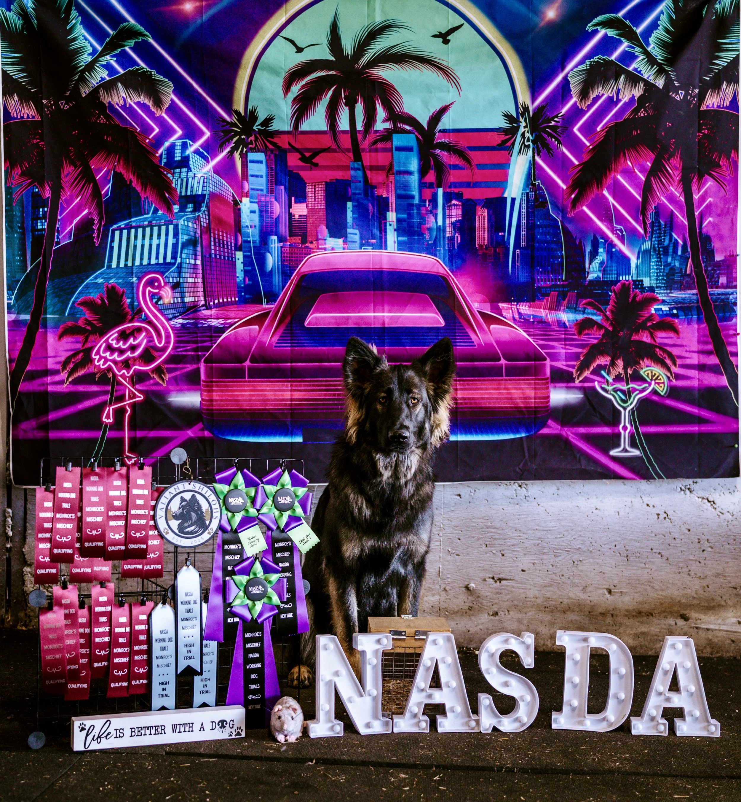 First NASDA trial - 3 new titles