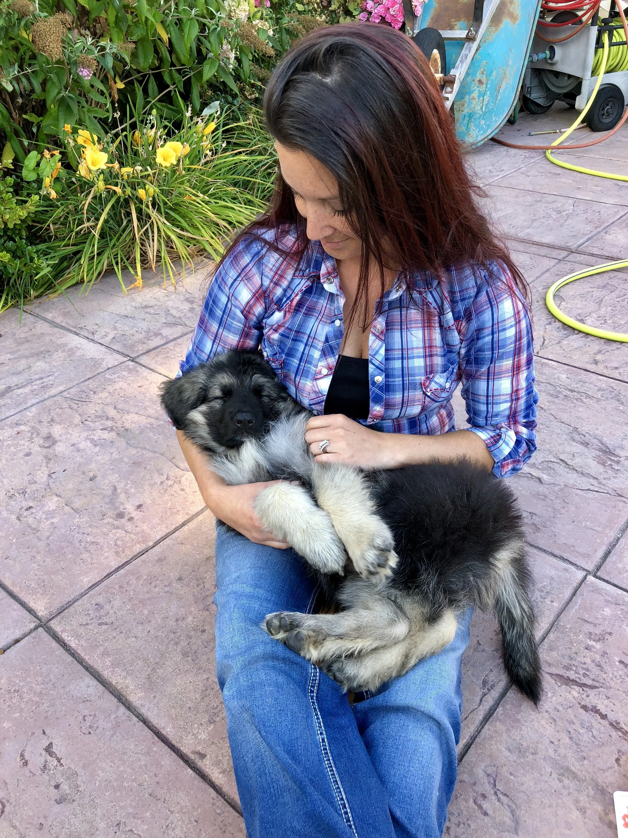 Baby Roman