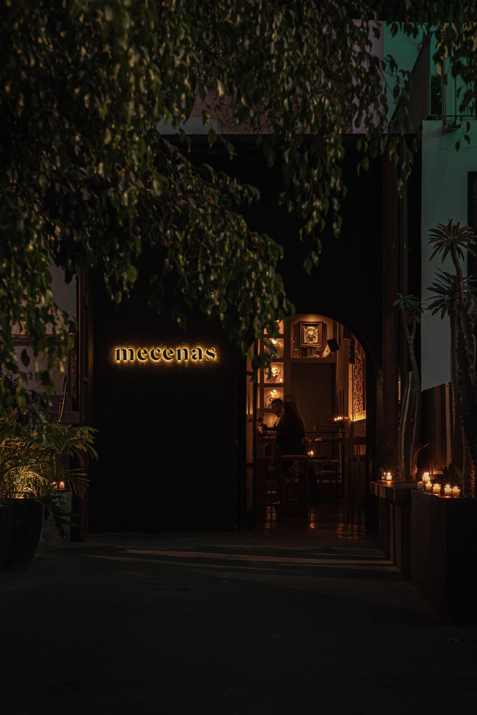 Fachada de Mecenas Bar de noche con el letrero iluminado entre plantas, Guadalajara