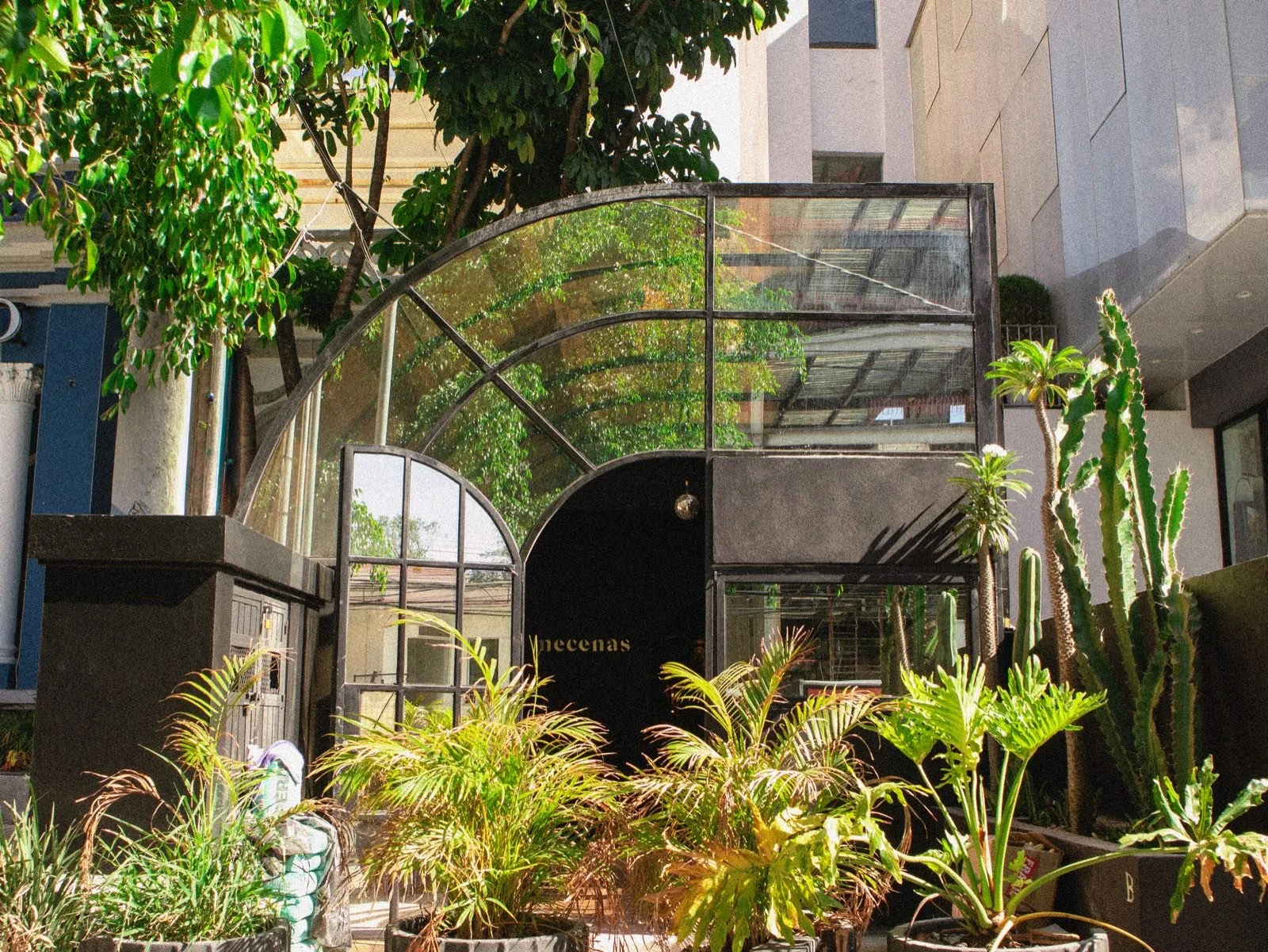 Terraza de Mecenas Bar con domo de cristal y plantas, Guadalajara
