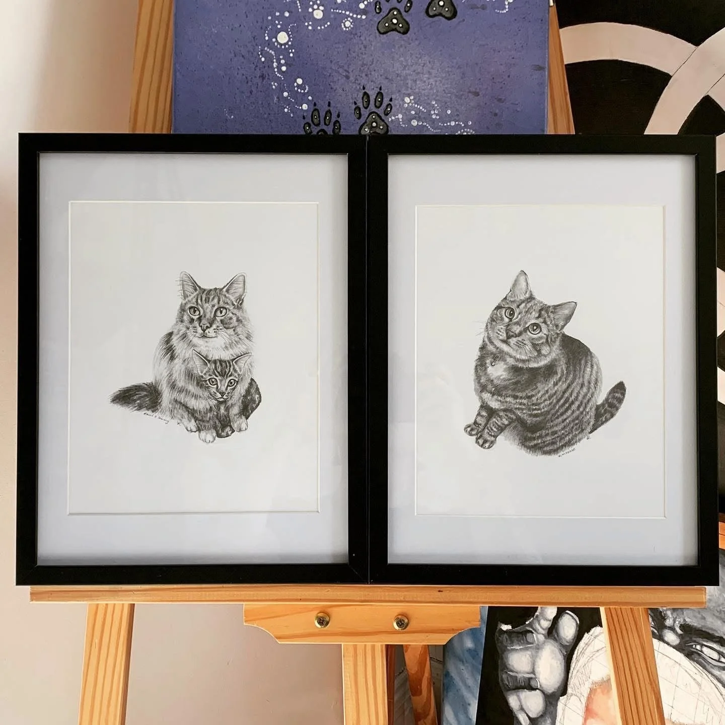 framedcats.jpeg