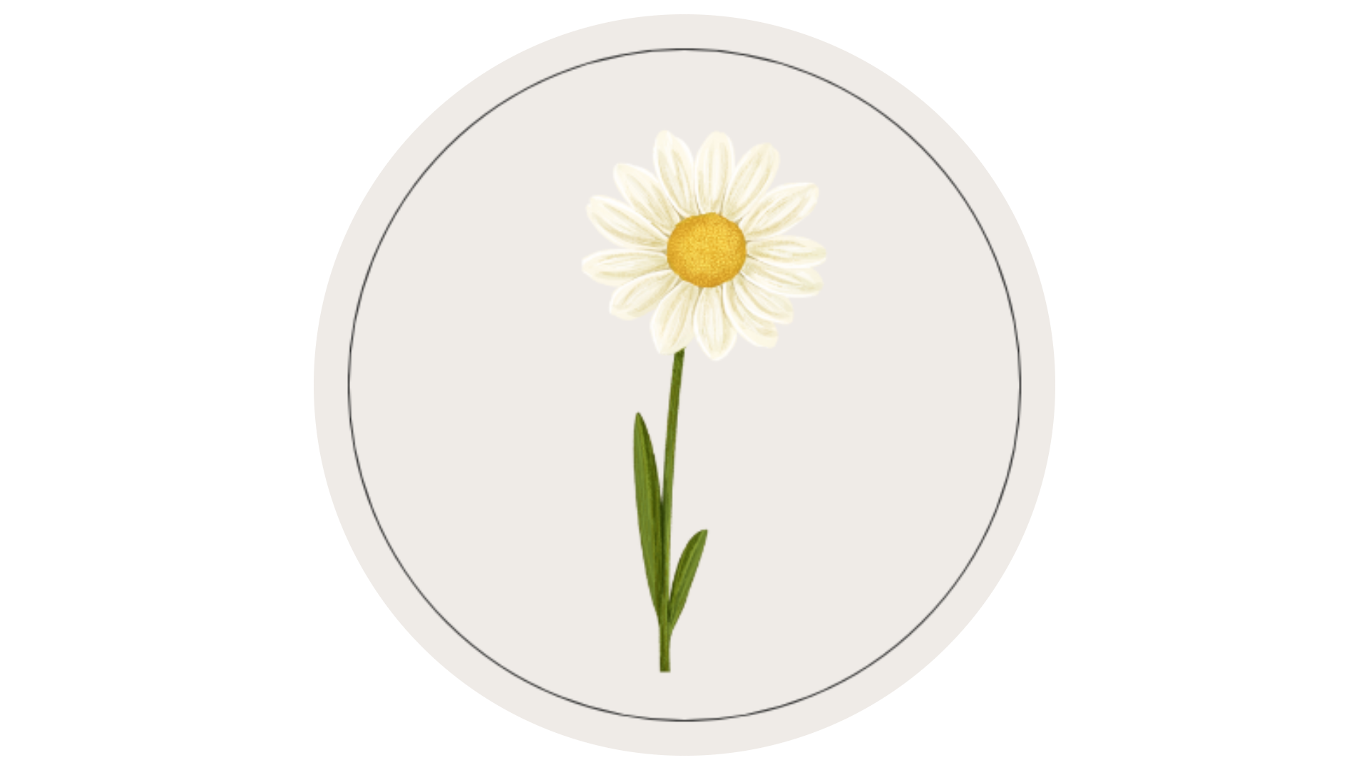 A digital illustration of a white daisy flower with yellow center, green stem, and leaves.