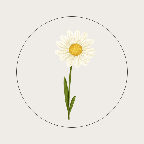 A digital illustration of a single chamomile flower with white petals, a yellow center, green stem, and leaves, on a light gray background.