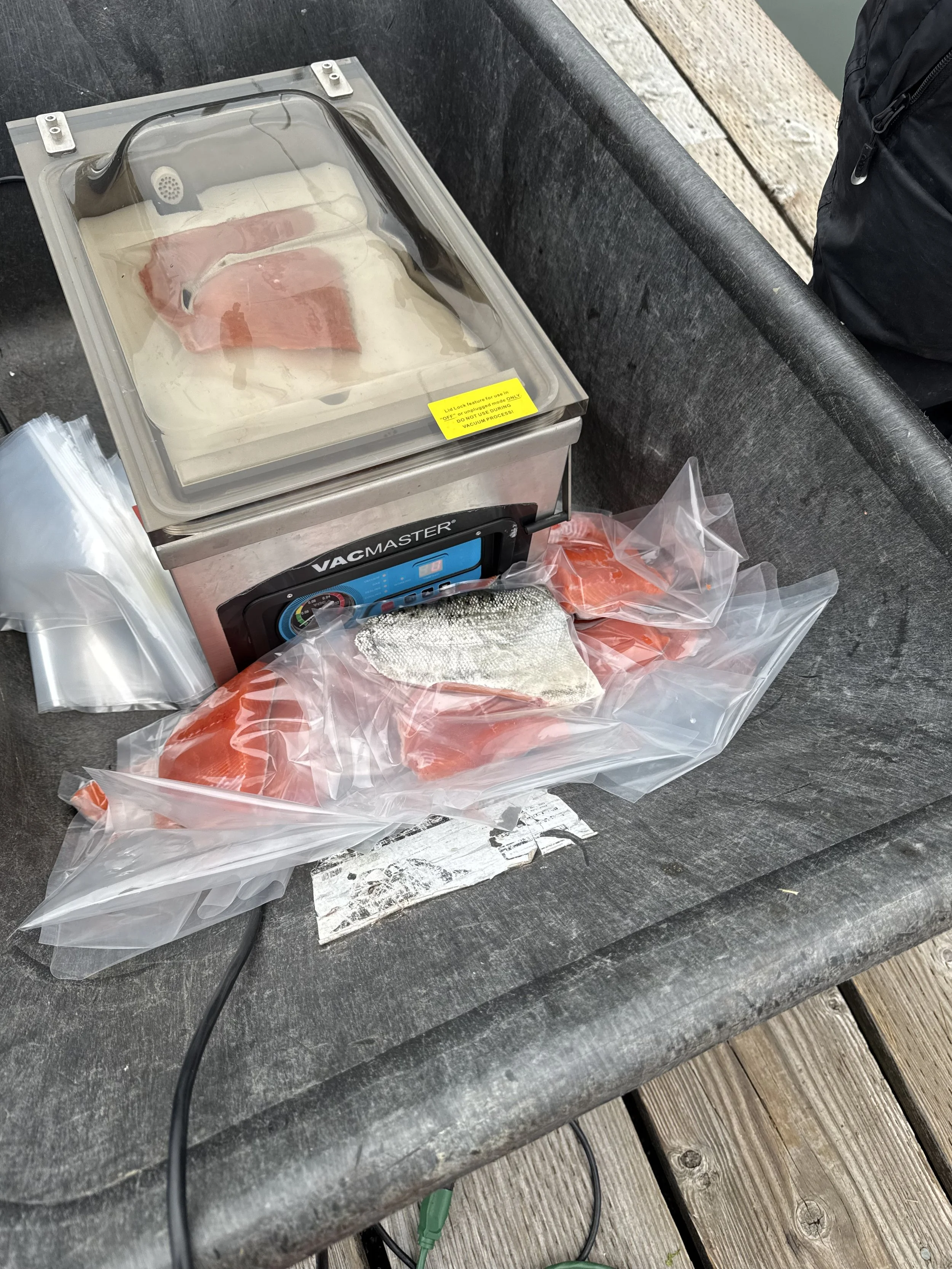 Frozen fish fillets in vacuum-sealed plastic bags on a table with a vacuum sealer machine.