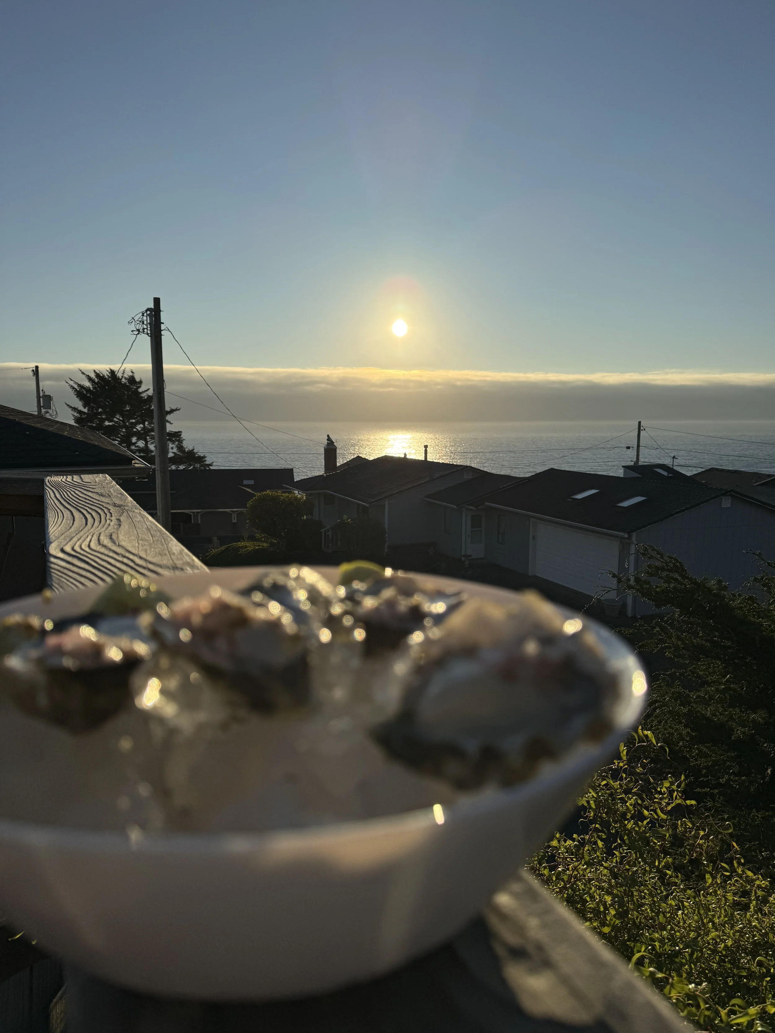 Sunset over the ocean with houses and power lines in the foreground, and a bowl of oysters in the front.