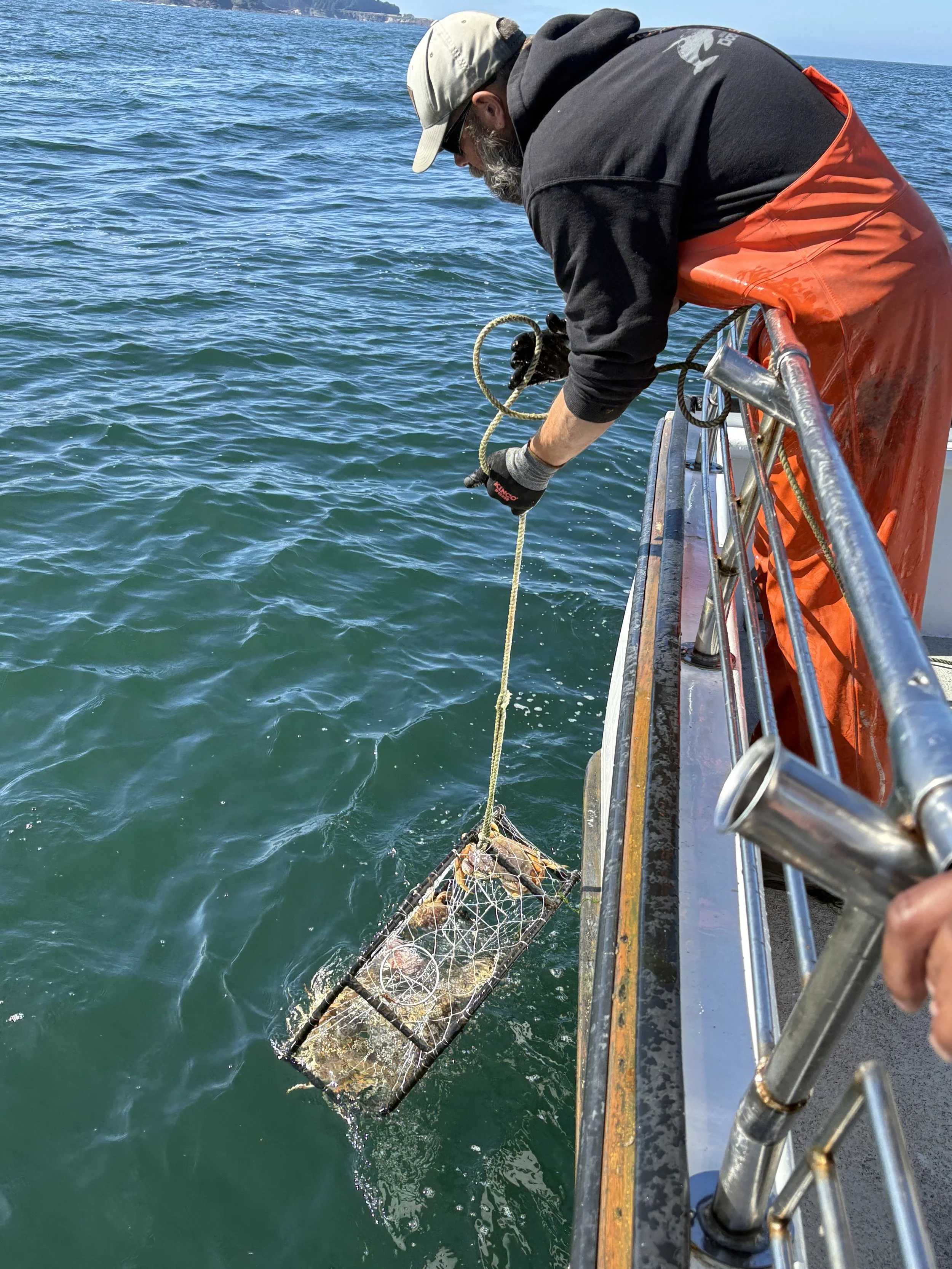 A person on a boat lowering a crab trap into the water, holding a rope attached to the trap.