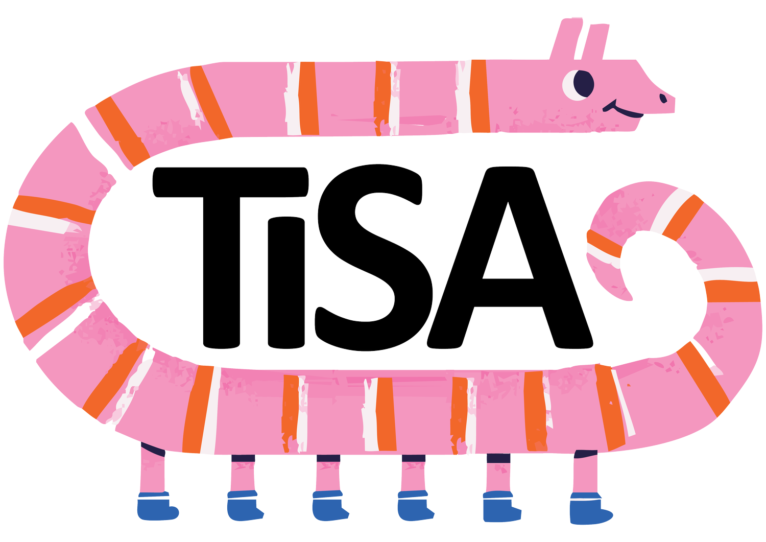 Theatre in Schools Aotearoa