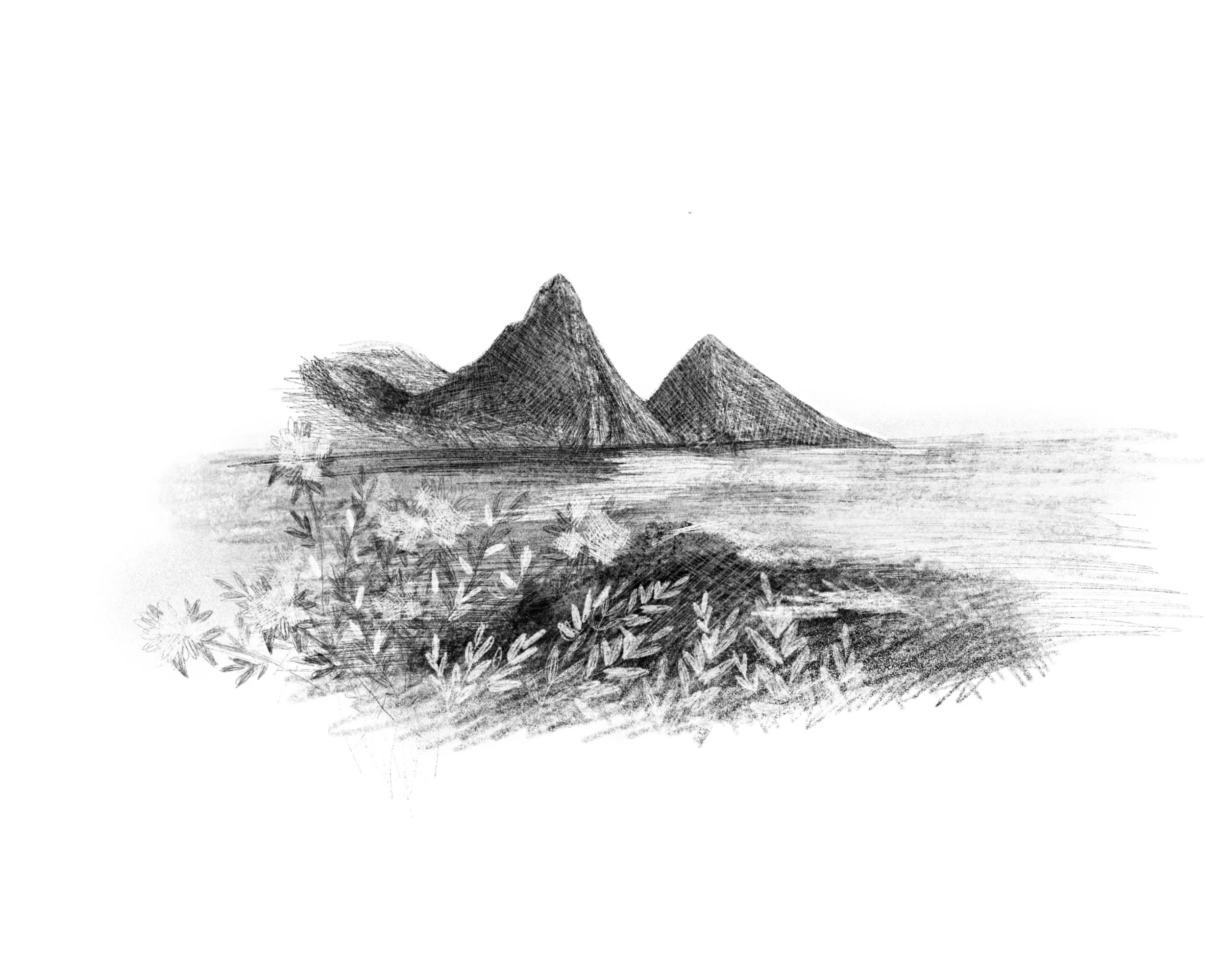 Untitled_Artwork 76.jpg