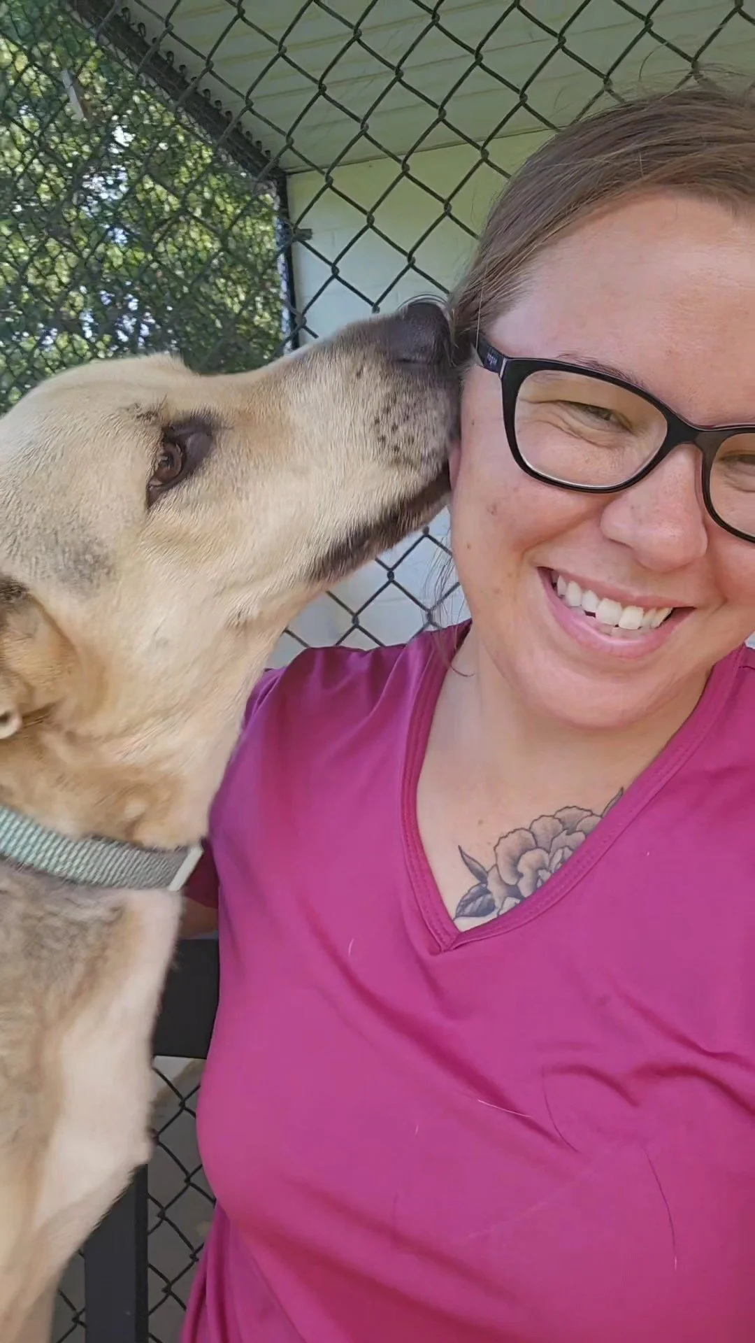 A woman with glasses smiling, being licked on the cheek by a dog, in an outdoor area with a chain-link fence.