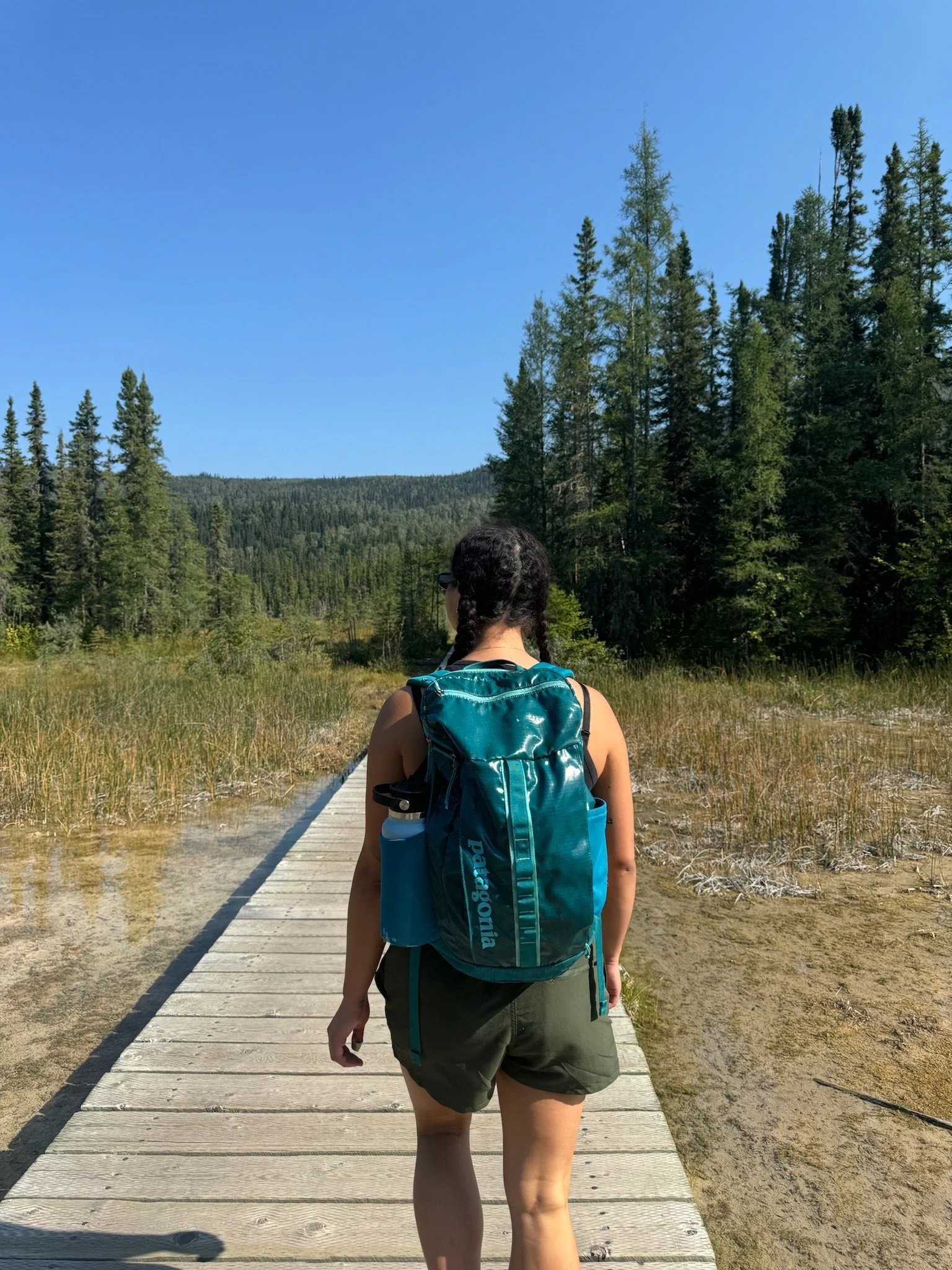 A person with braided hair wearing sunglasses, a blue Patagonia backpack, and outdoor clothing, walking on a wooden trail in a forested area with tall pine trees, under a clear blue sky.