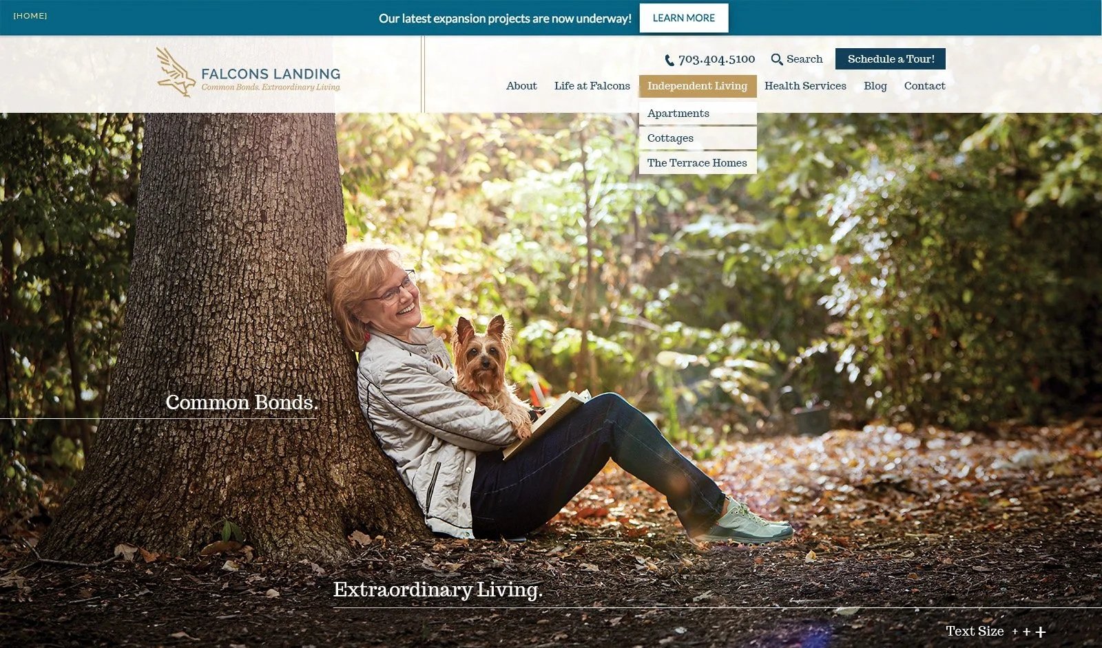 Website Design