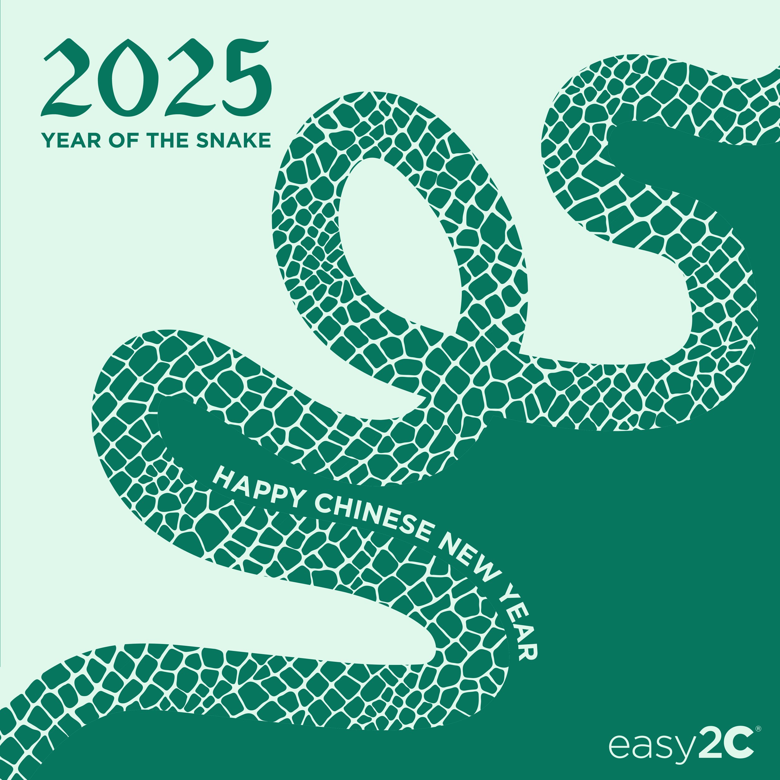 Chinese New Year 2025.jpg
