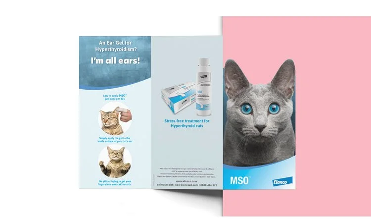 MSO Trifold Brochure