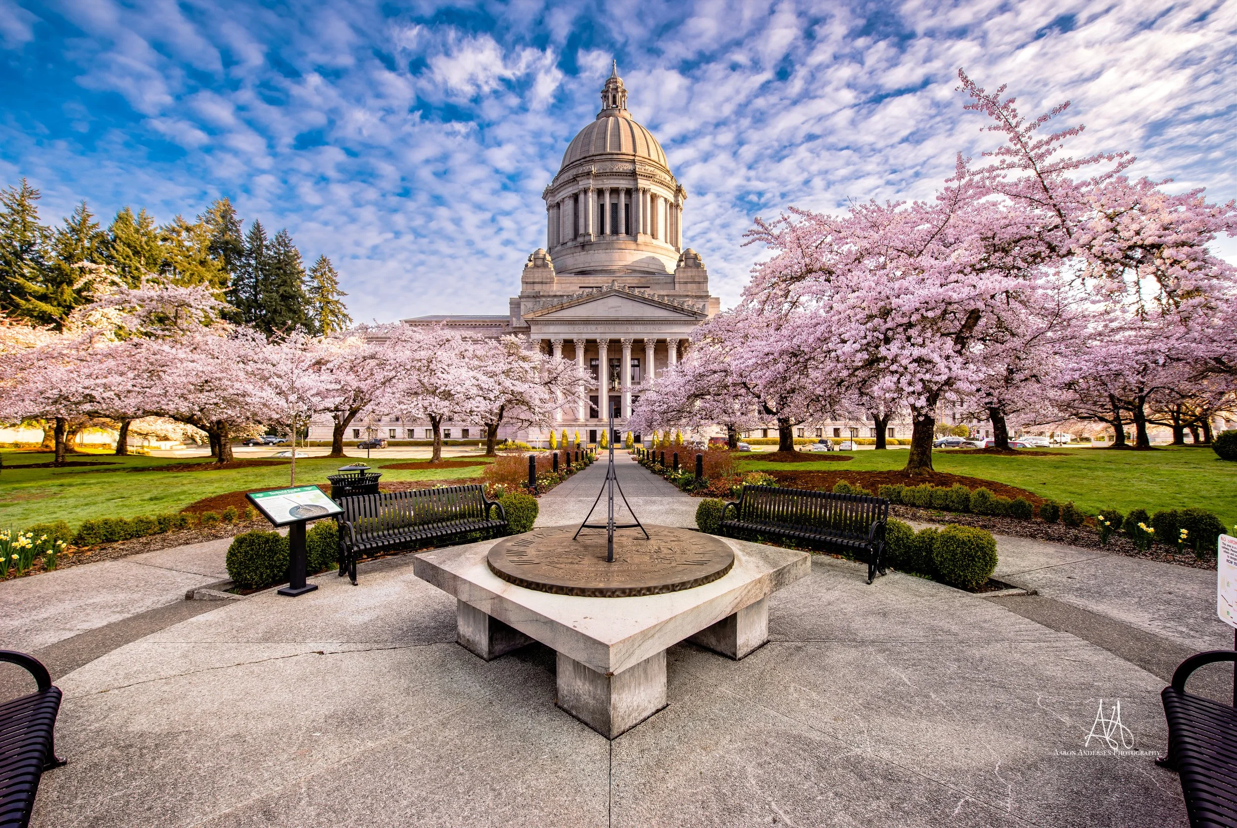 230405074632_AA-large-2 (resized).jpg