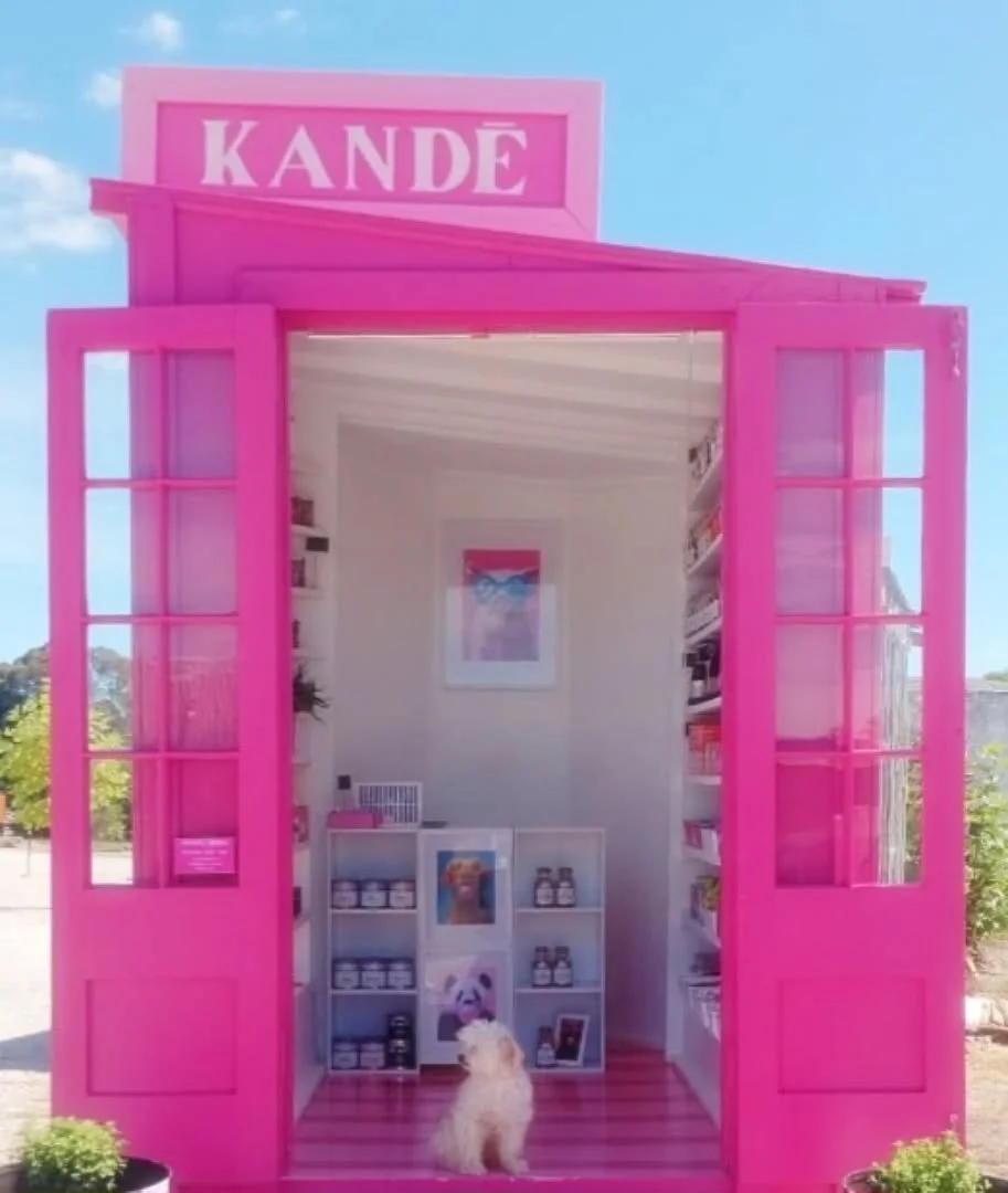 Phoebe Honeycomb Caramel 🩷 
KANDĒ Family #shopdog 

#kandēcrush #sugarrush 

KANDĒ
Māpua Wharf