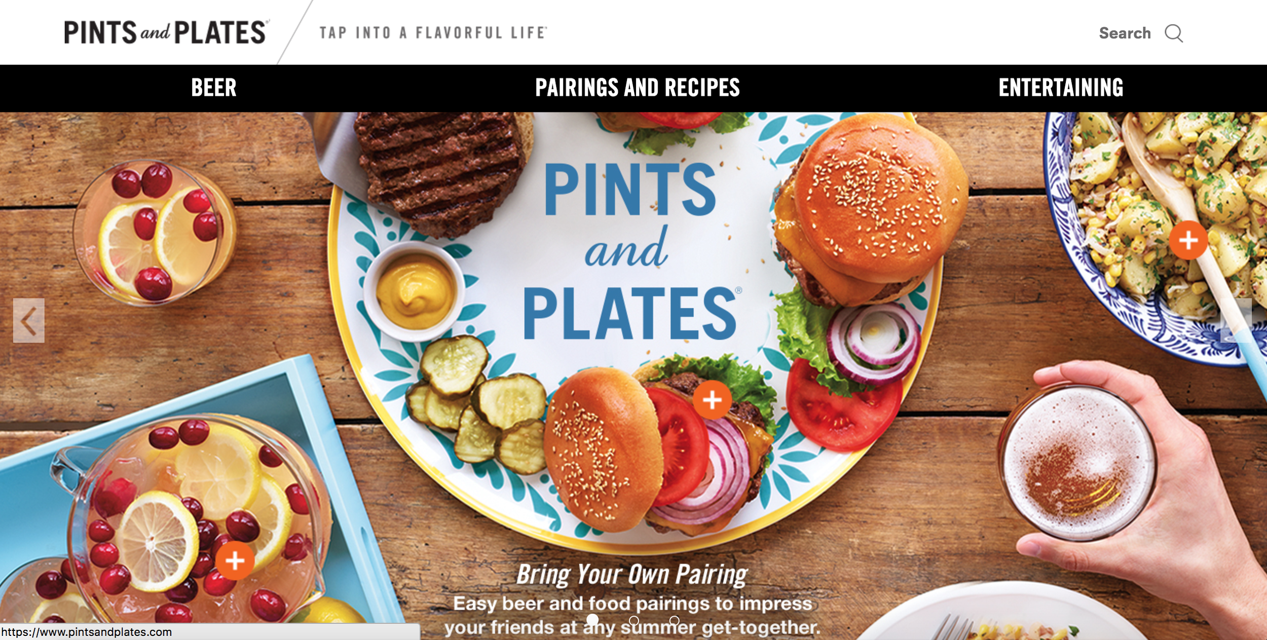 Mircosite Concept & Copy